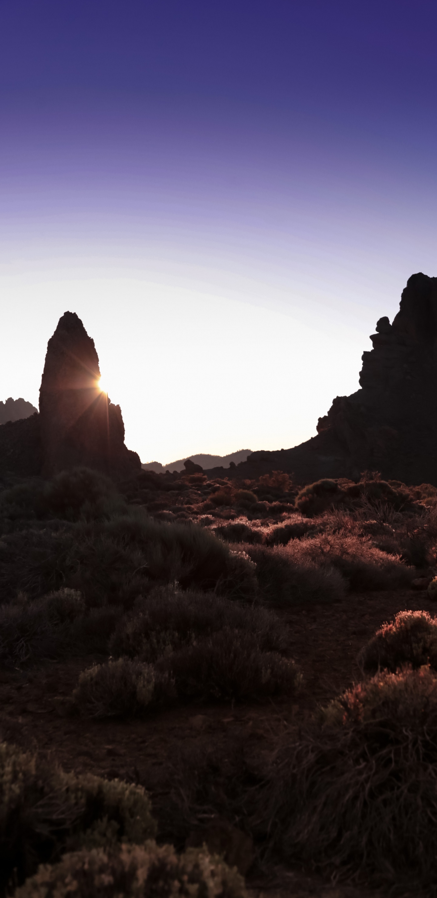 Ödland, Liebe im Licht, Amerikas Nationalparks Erkunden, Traumraum, Natur. Wallpaper in 1440x2960 Resolution