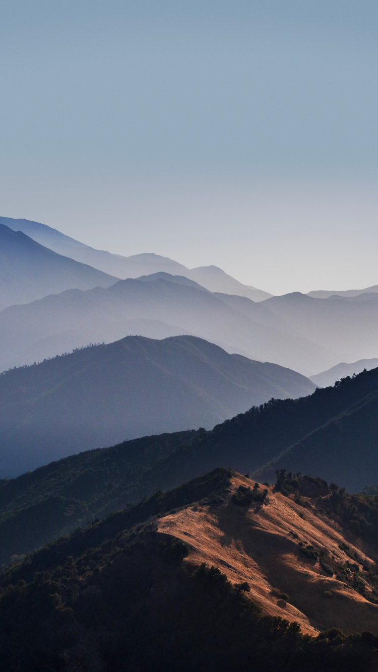 Apple, IPhone 12 Pro, IPhone 12 Pro Max, IPhone XS Max, MacOS Big Sur. Wallpaper in 750x1334 Resolution