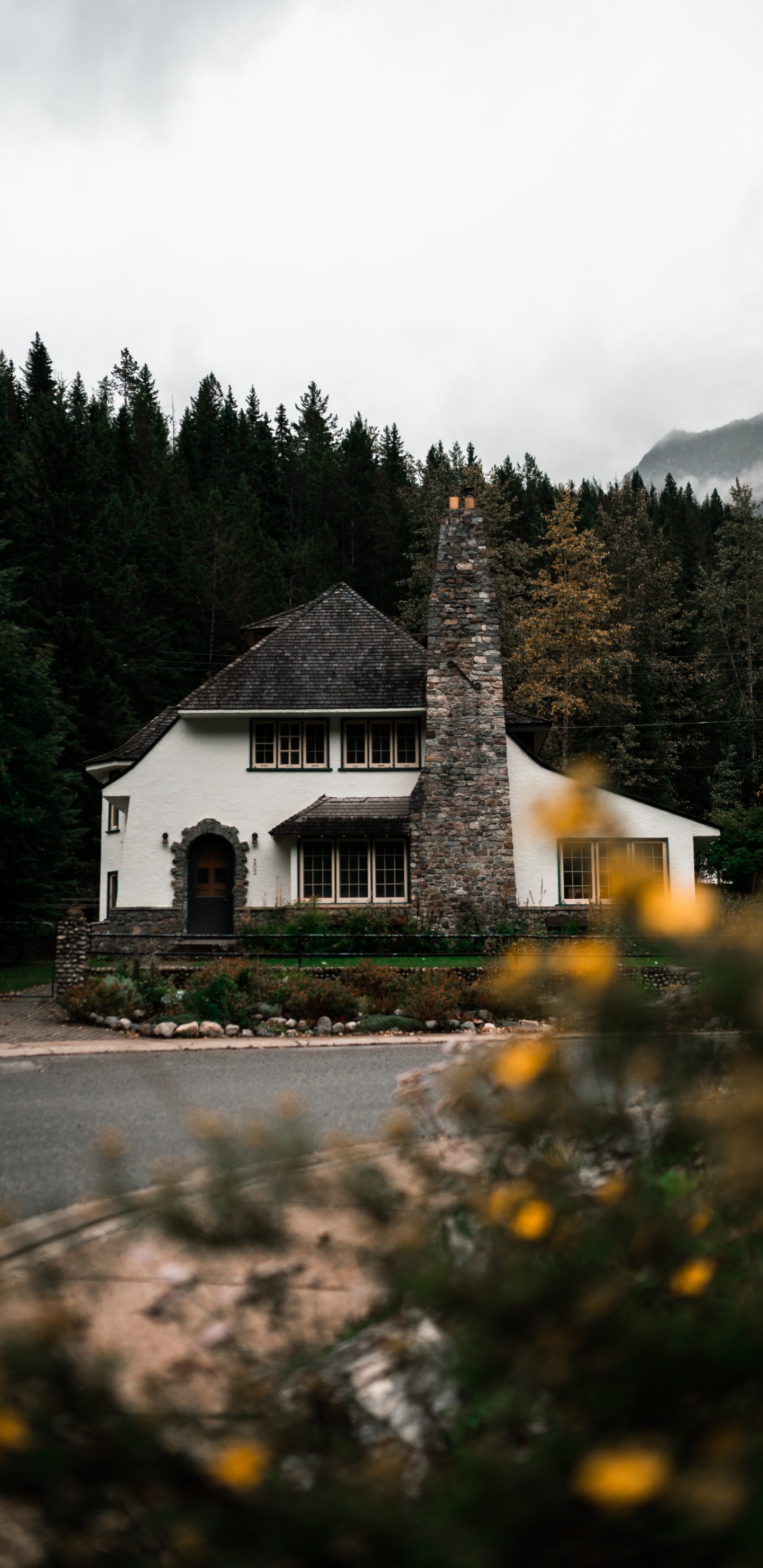 Home, Nature, House, Property, Highland. Wallpaper in 1440x2960 Resolution