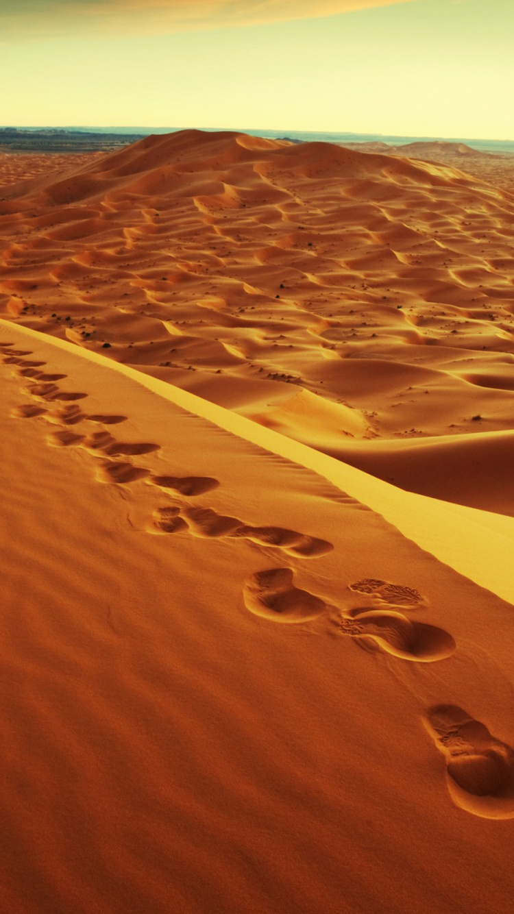 Tagsüber Brauner Sand Unter Weißem Himmel. Wallpaper in 750x1334 Resolution