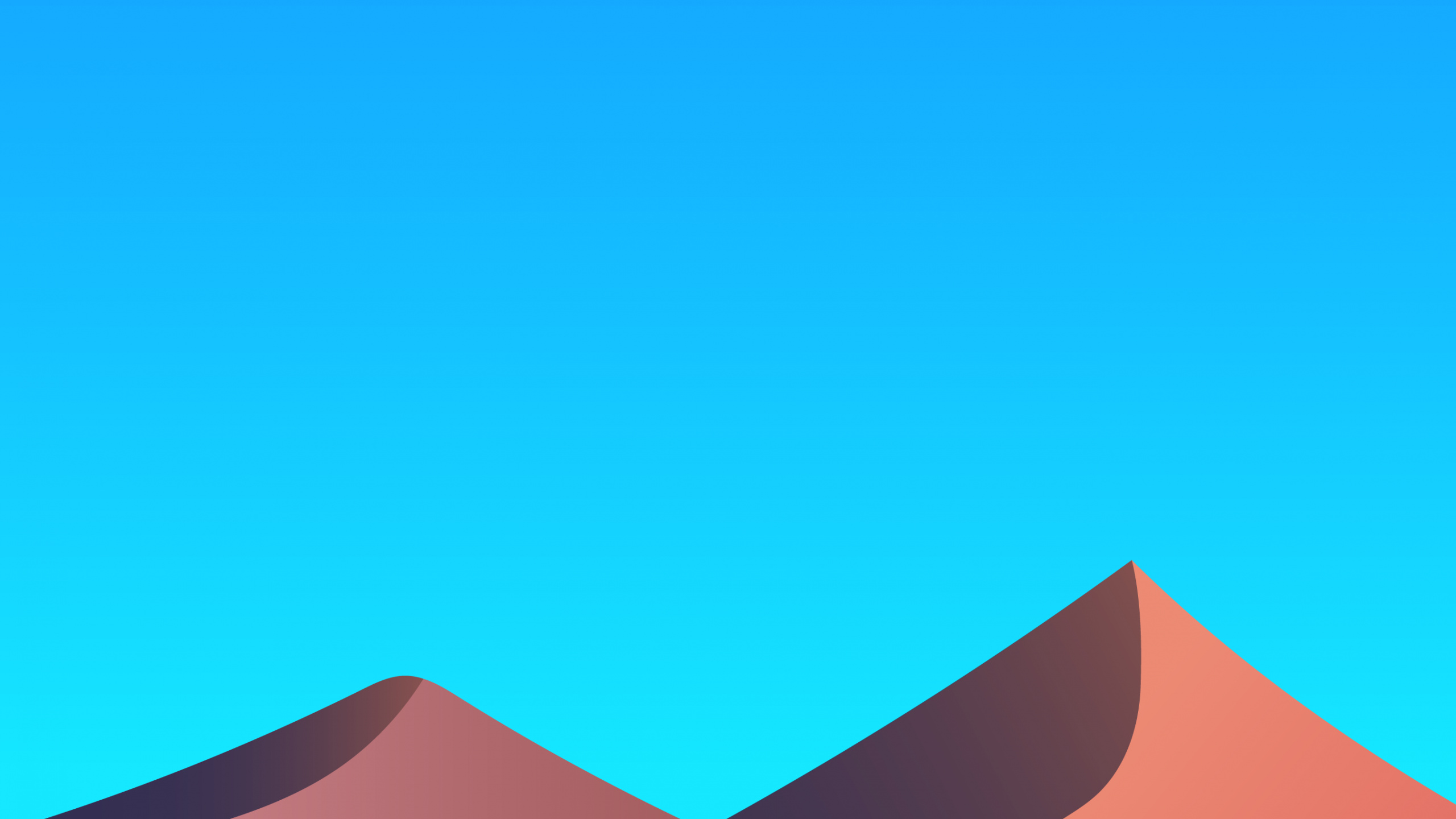 Ecoregion, Light, Azure, Black, Bird. Wallpaper in 2560x1440 Resolution