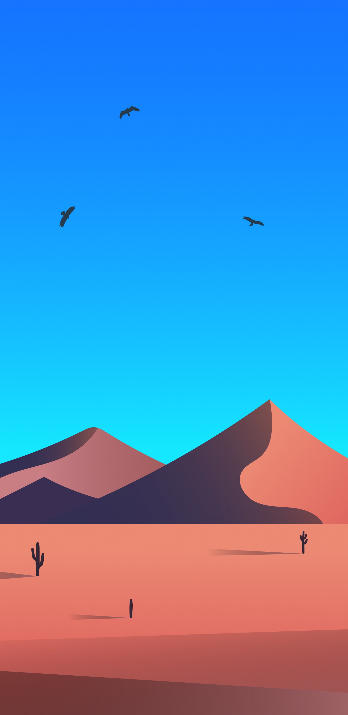 Ökoregion, Licht, Azure, Schwarz, Vogel. Wallpaper in 1440x2960 Resolution