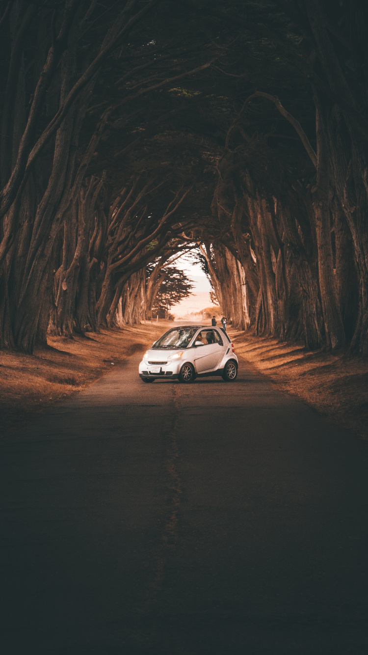 基础设施, 小型汽车, 世界的集锦标赛, 奥迪, 越野 壁纸 750x1334 允许
