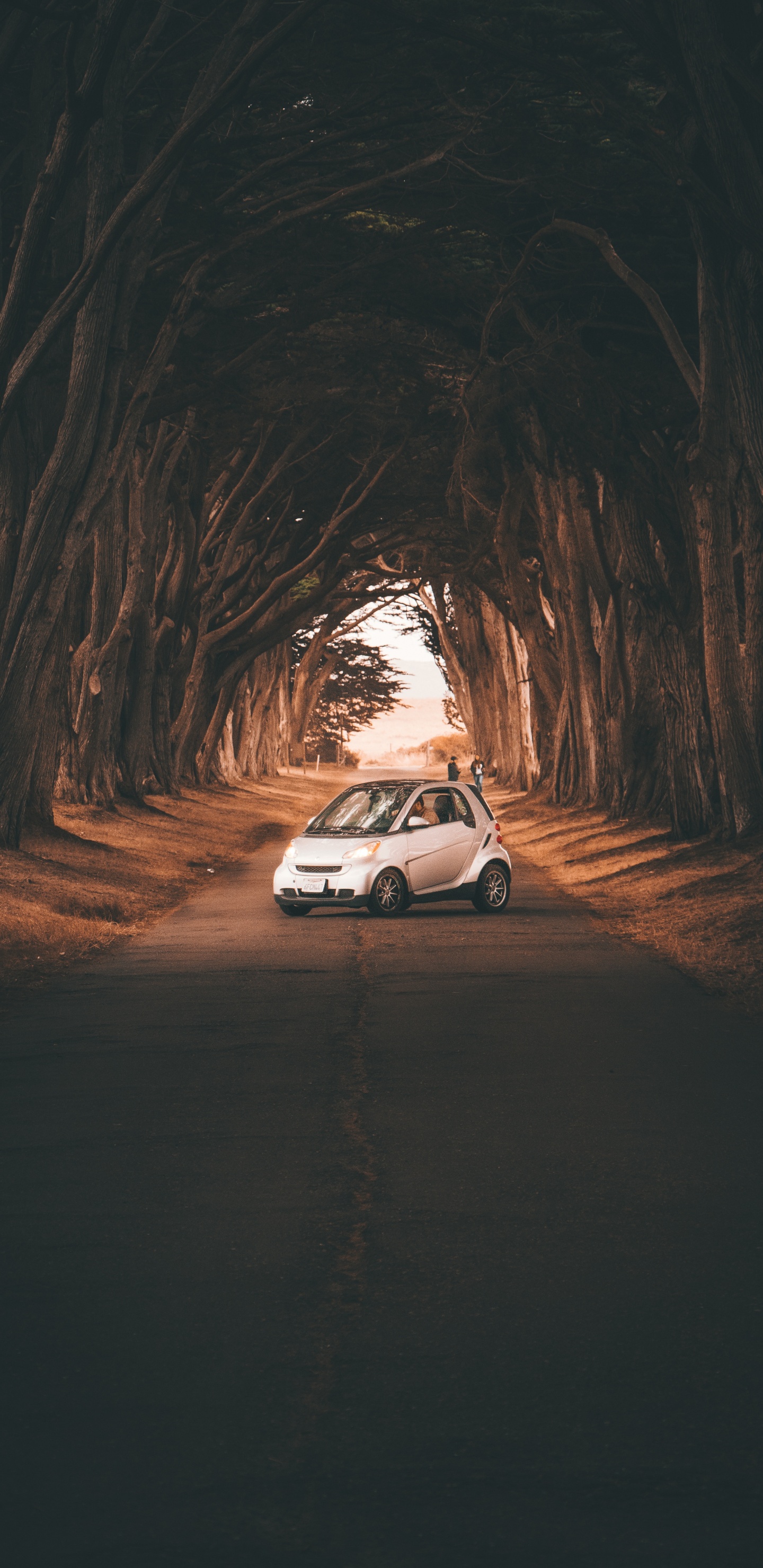 White Car on Dirt Road During Daytime. Wallpaper in 1440x2960 Resolution