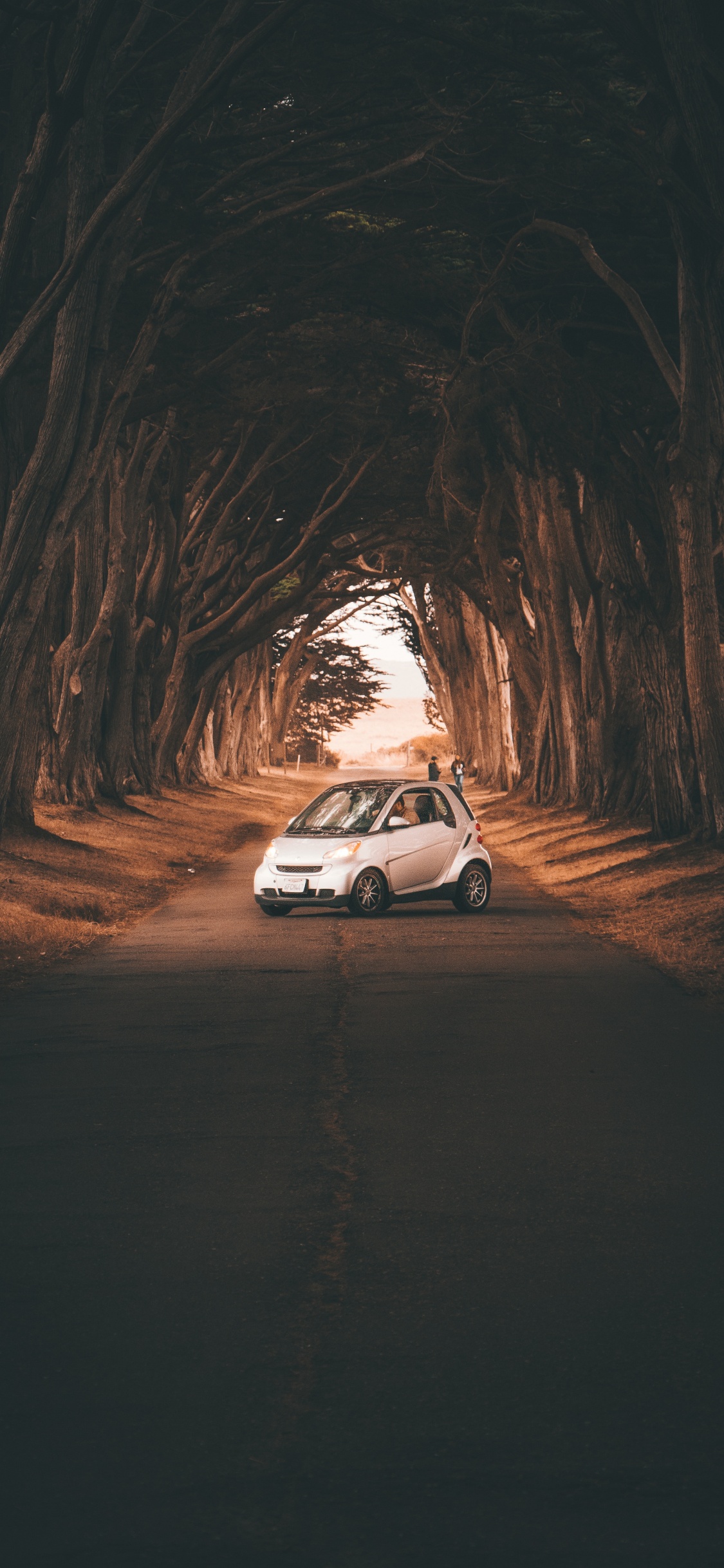 Coche Blanco en Camino de Tierra Durante el Día. Wallpaper in 1125x2436 Resolution