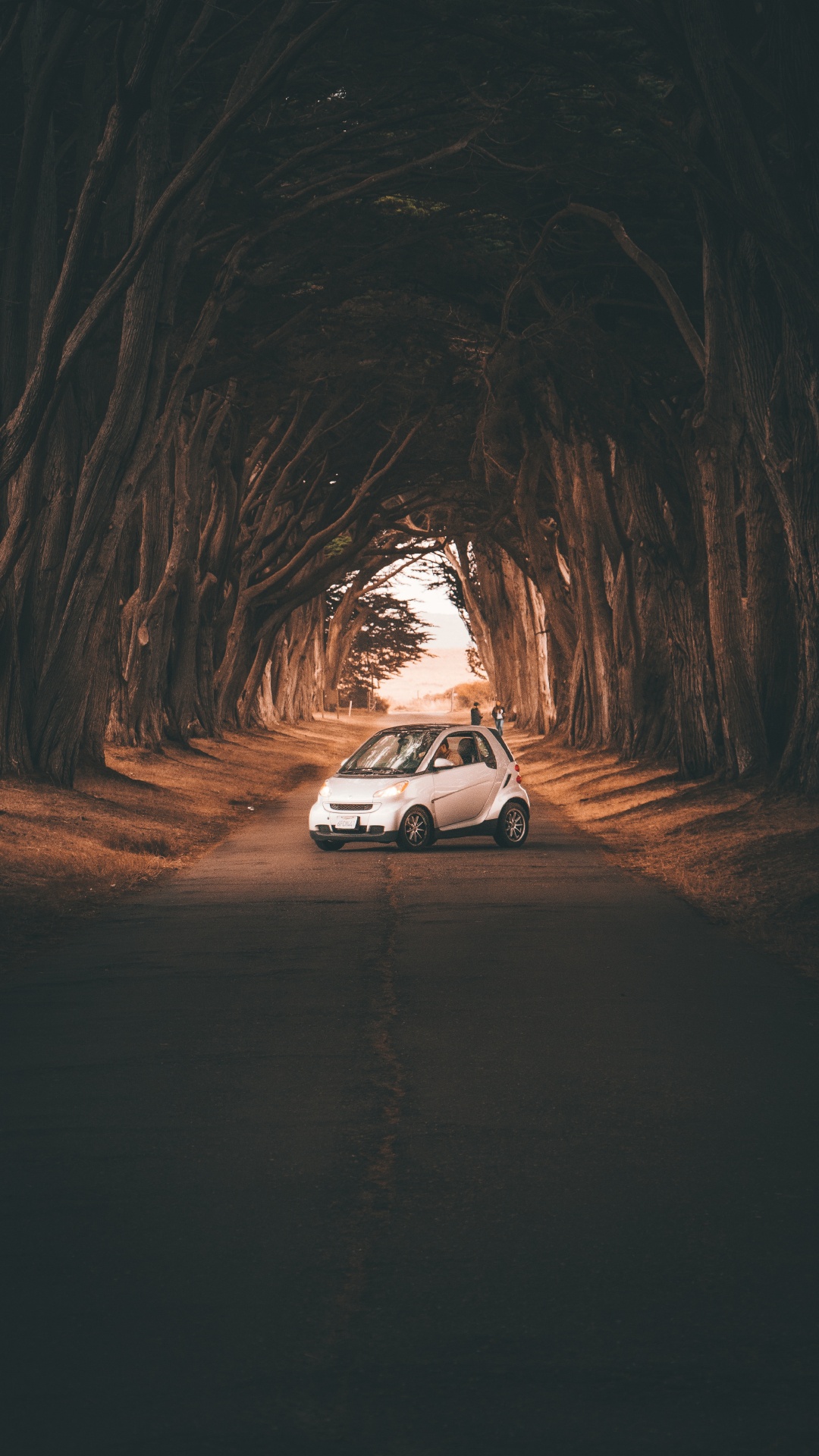 Voiture Blanche Sur Chemin de Terre Pendant la Journée. Wallpaper in 1080x1920 Resolution