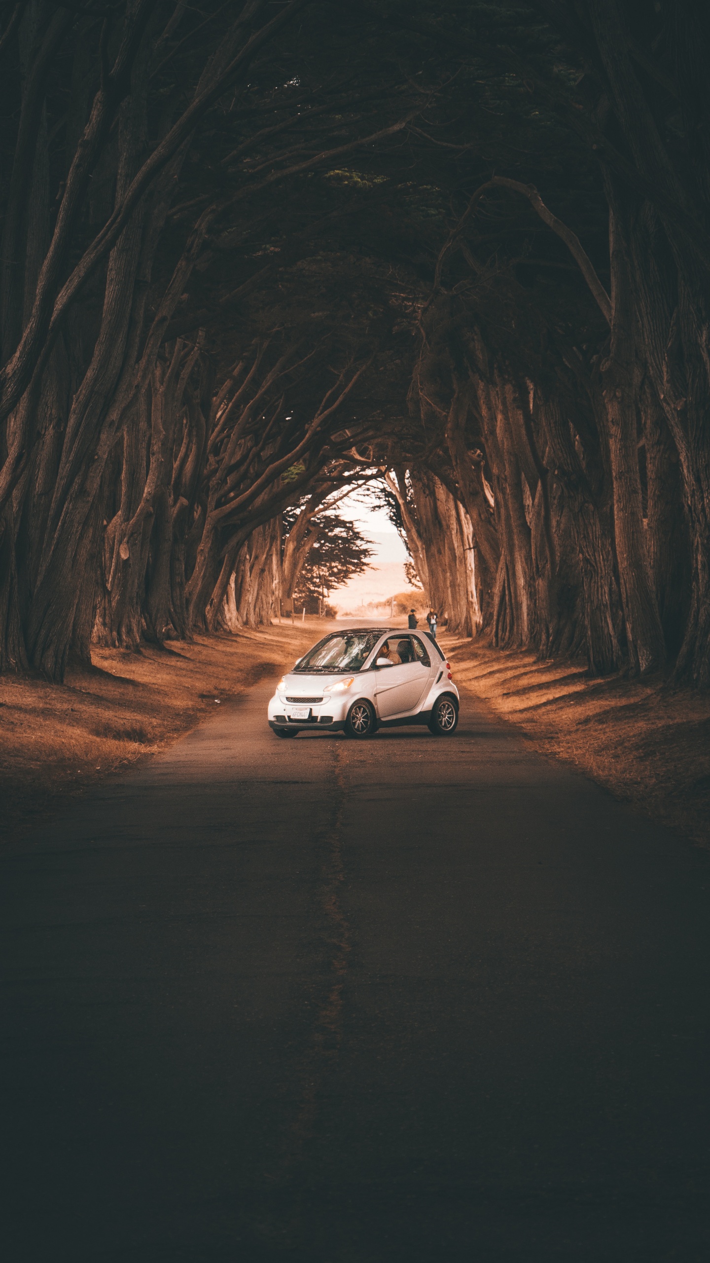 Voiture Blanche Sur Chemin de Terre Pendant la Journée. Wallpaper in 1440x2560 Resolution