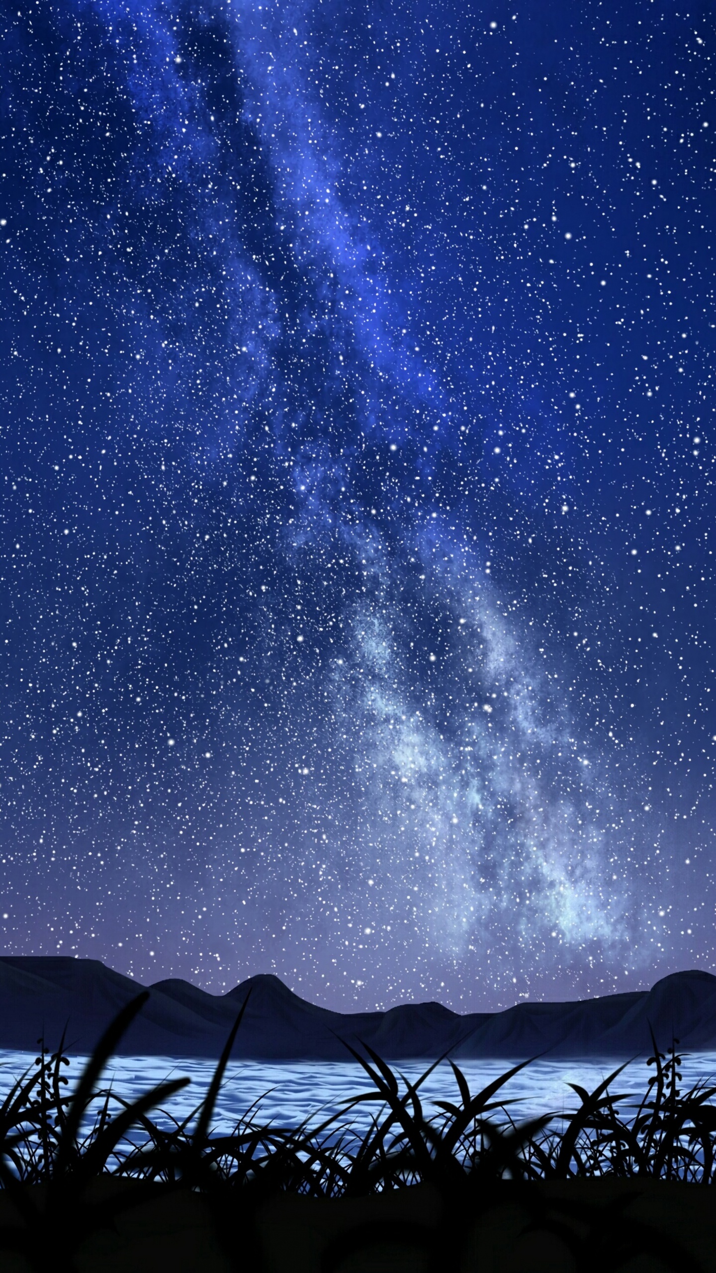La Nuit Étoilée, Blue, Nuit, Lumière, Eau. Wallpaper in 1440x2560 Resolution