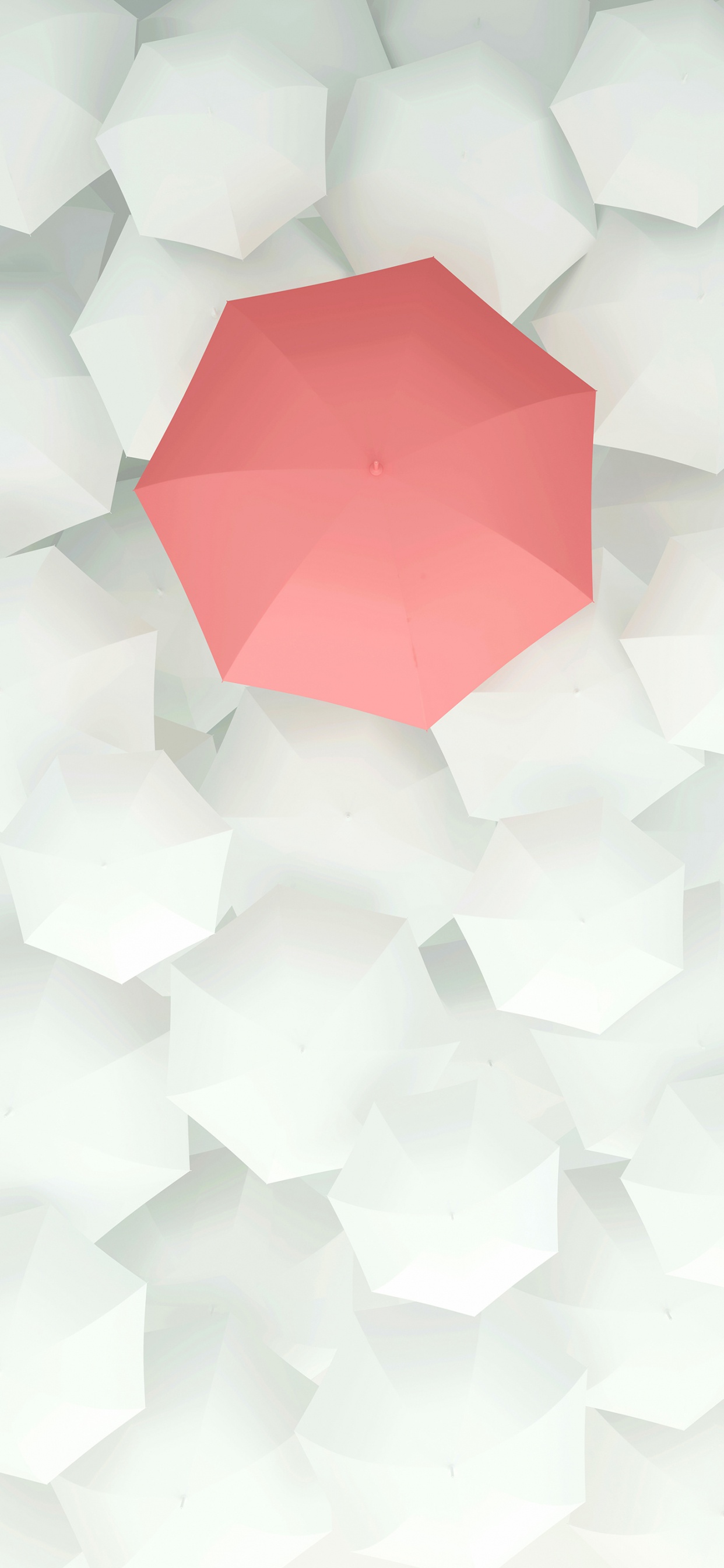 Blütenblatt, Pink, Kreative Kunst, Dreieck, Kunst. Wallpaper in 1242x2688 Resolution