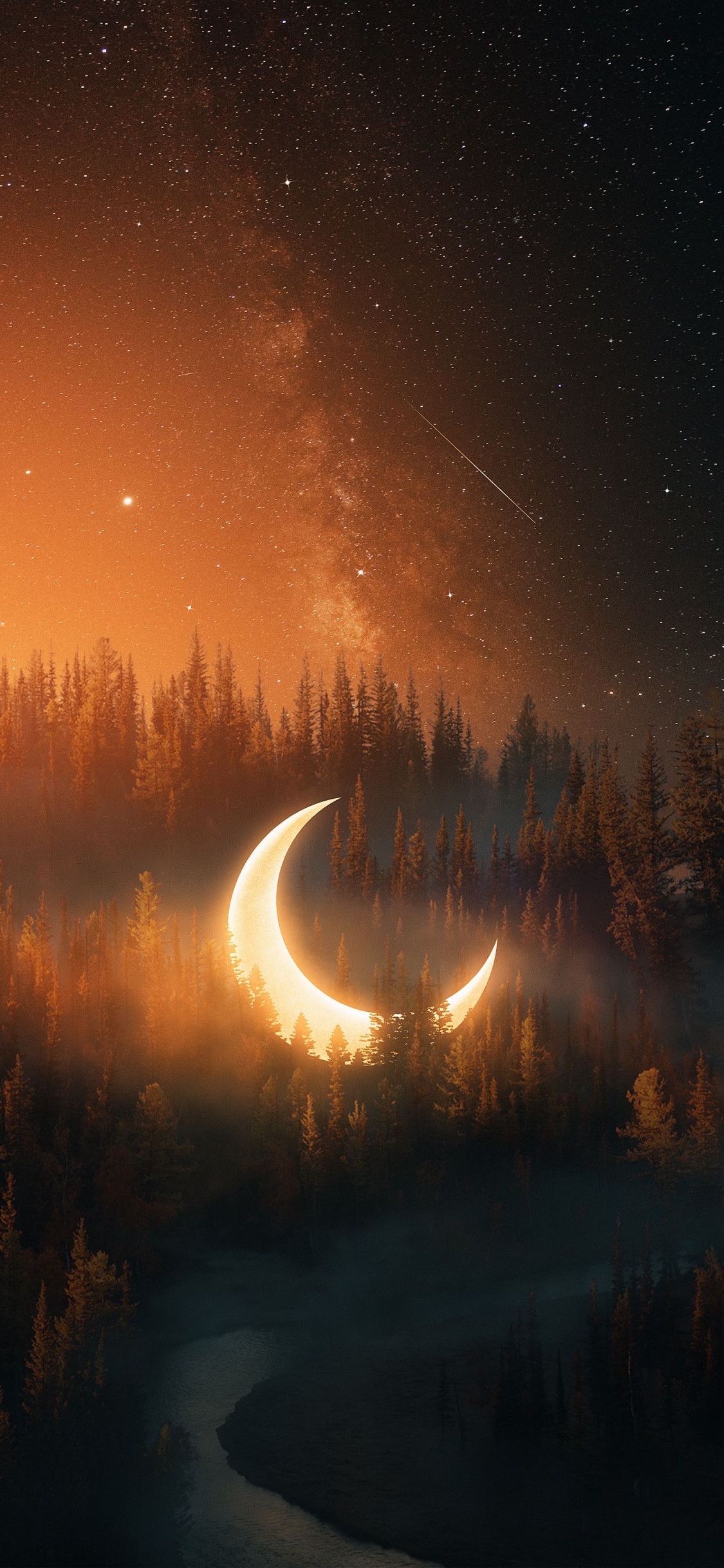 Natur, Atmosphäre, Naturlandschaft, Baum, Astronomisches Objekt. Wallpaper in 1125x2436 Resolution