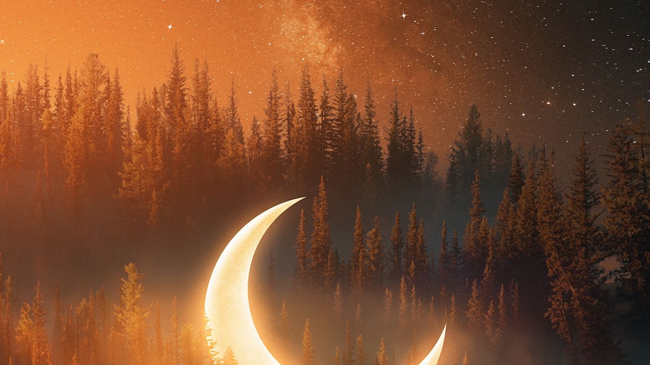 Nature, Atmosphere, Natural Landscape, World, Tree. Wallpaper in 1280x720 Resolution