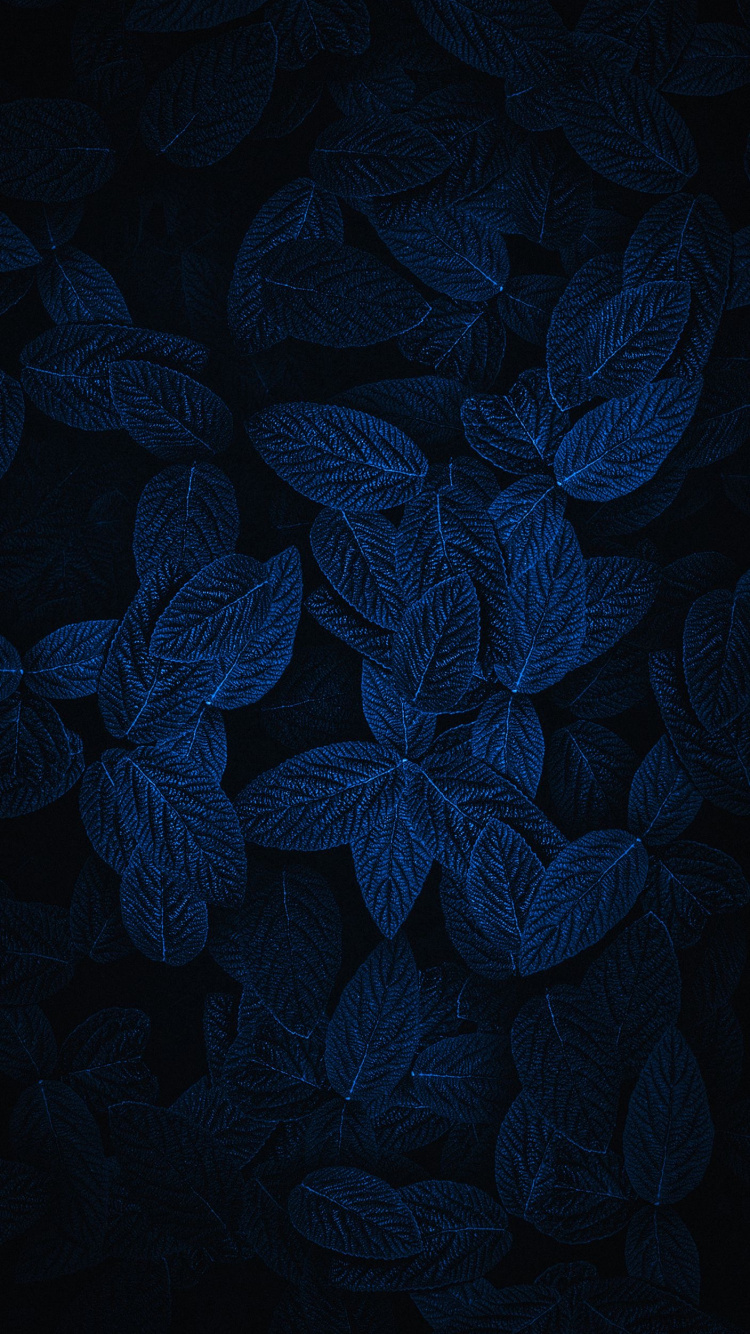 Light, Design, Plant, Petal, Tablecloth. Wallpaper in 750x1334 Resolution