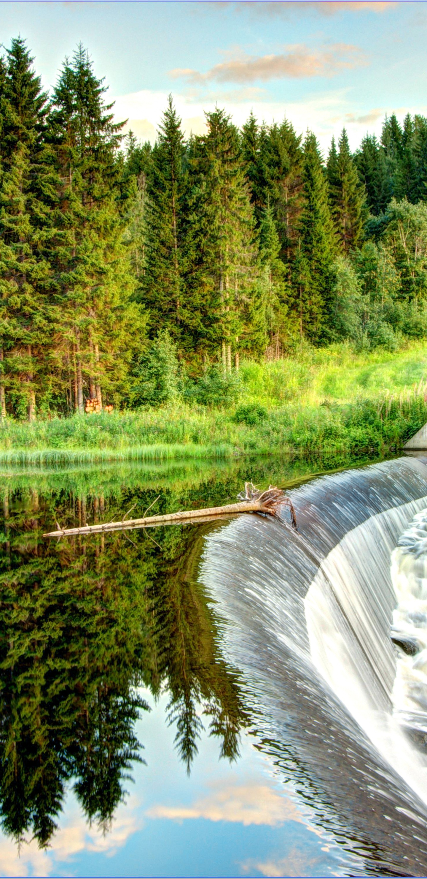 Arbres Verts au Bord de la Rivière Pendant la Journée. Wallpaper in 1440x2960 Resolution
