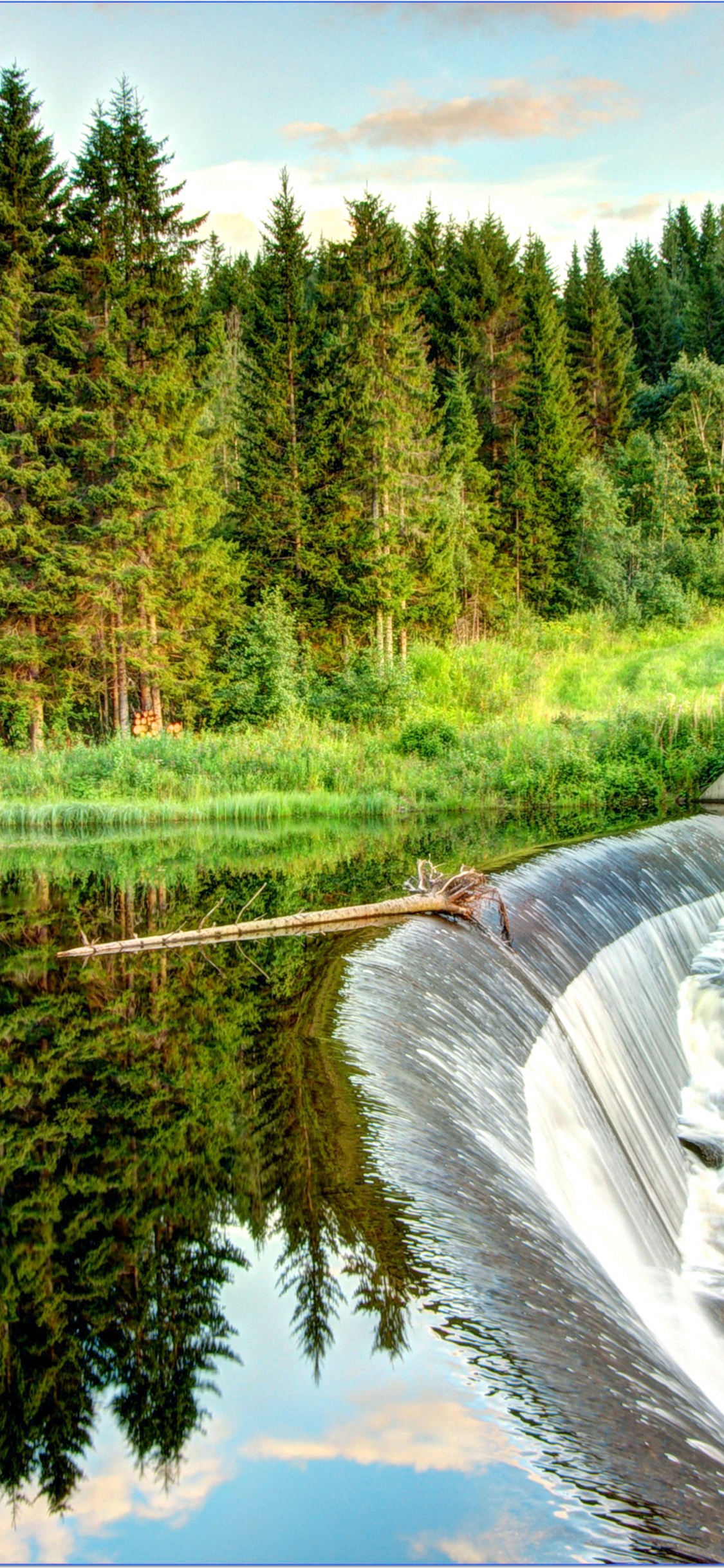 Tagsüber Grüne Bäume am Fluss. Wallpaper in 1125x2436 Resolution