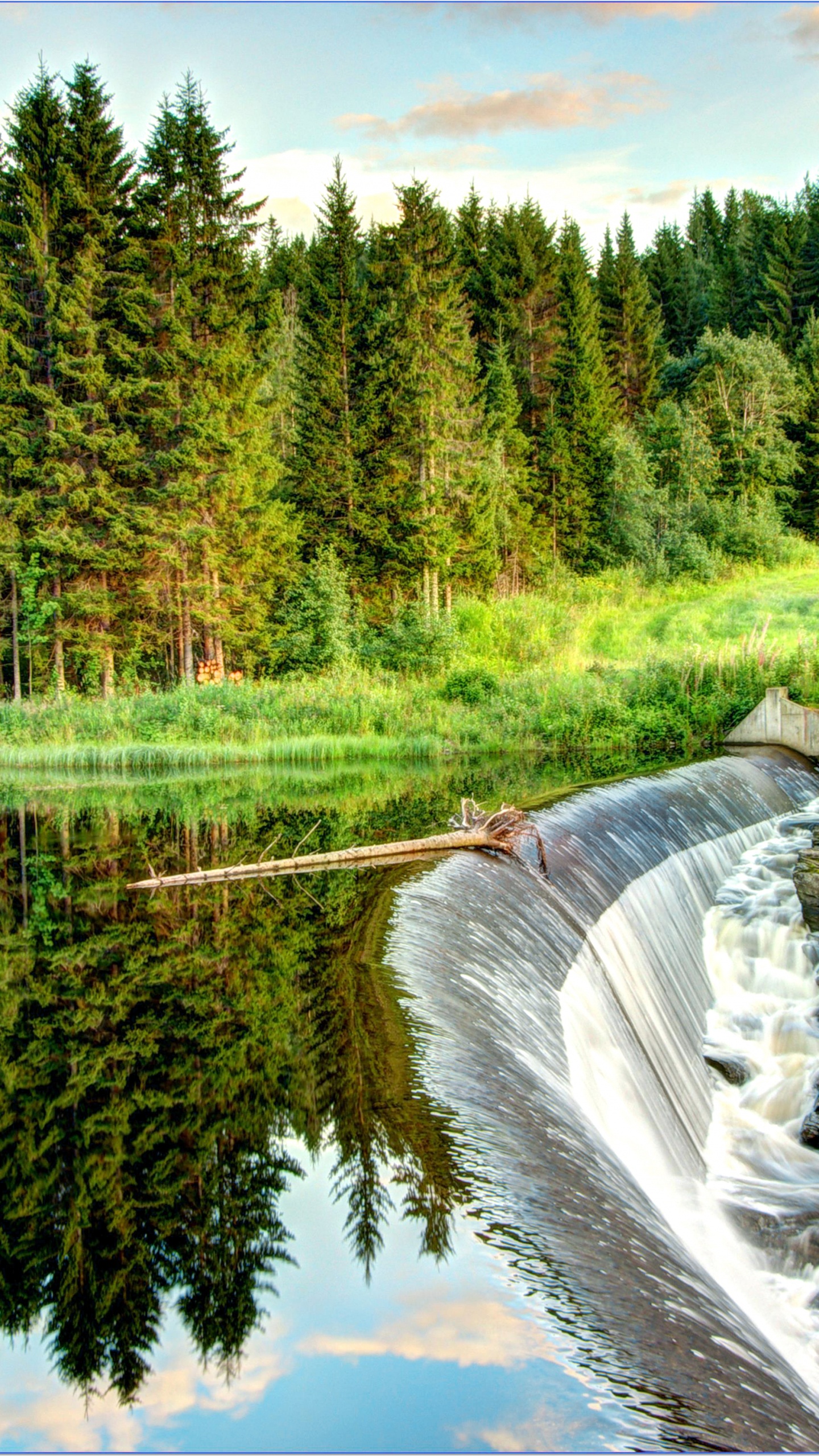 Tagsüber Grüne Bäume am Fluss. Wallpaper in 1440x2560 Resolution