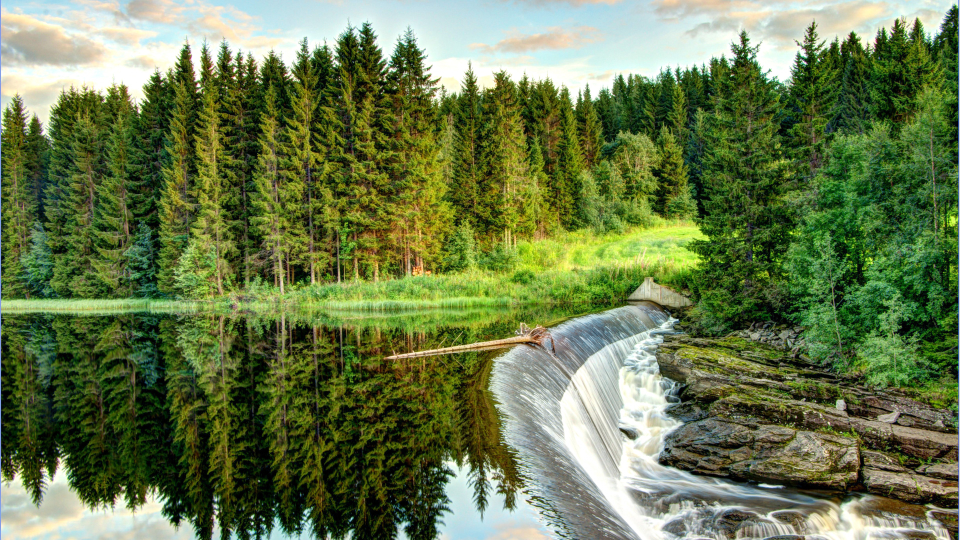 Tagsüber Grüne Bäume am Fluss. Wallpaper in 1920x1080 Resolution