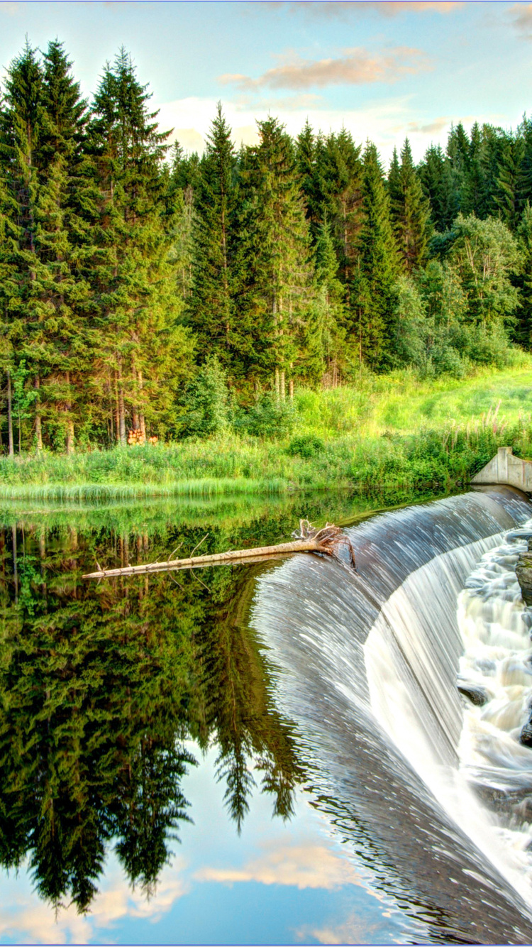 Tagsüber Grüne Bäume am Fluss. Wallpaper in 750x1334 Resolution