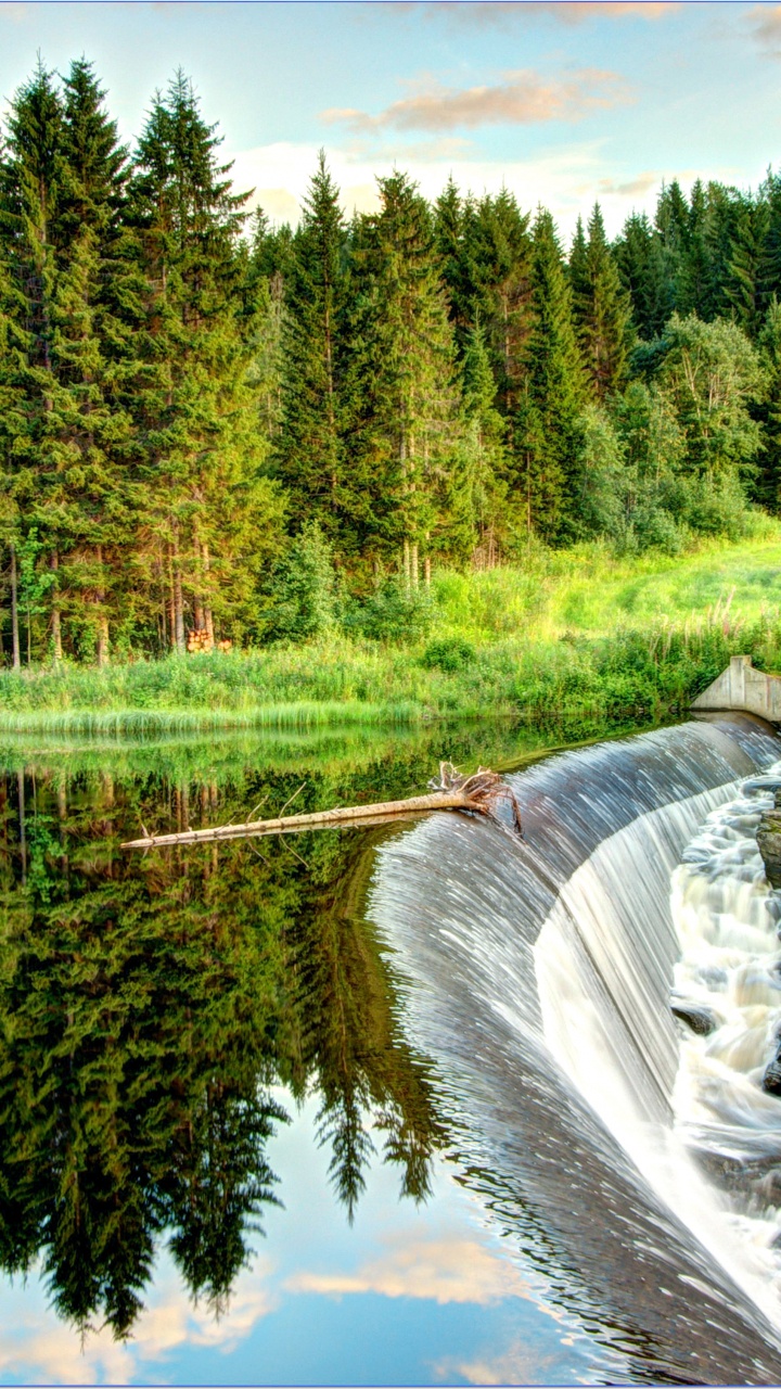Green Trees Beside River During Daytime. Wallpaper in 720x1280 Resolution