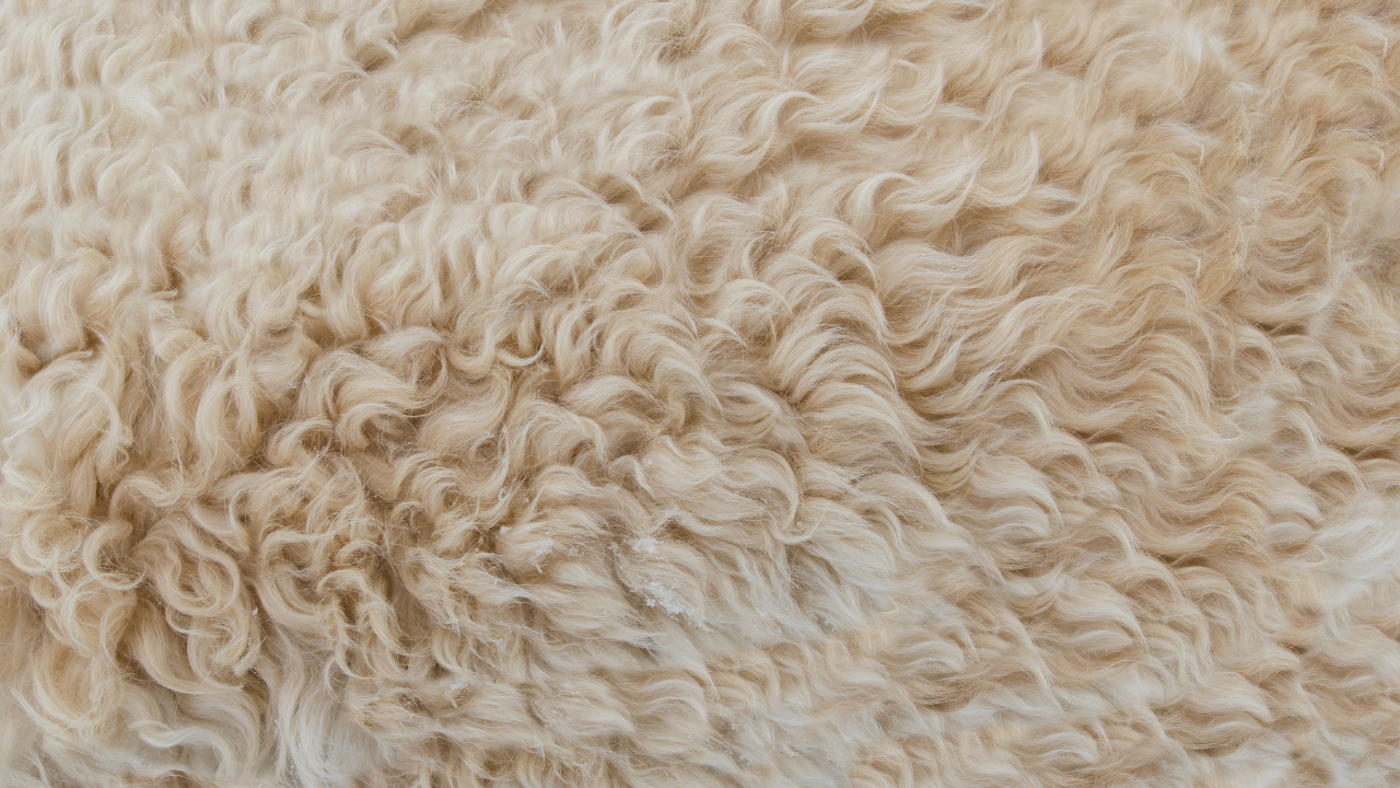 Textil de Piel Blanca en Fotografía de Cerca. Wallpaper in 1280x720 Resolution