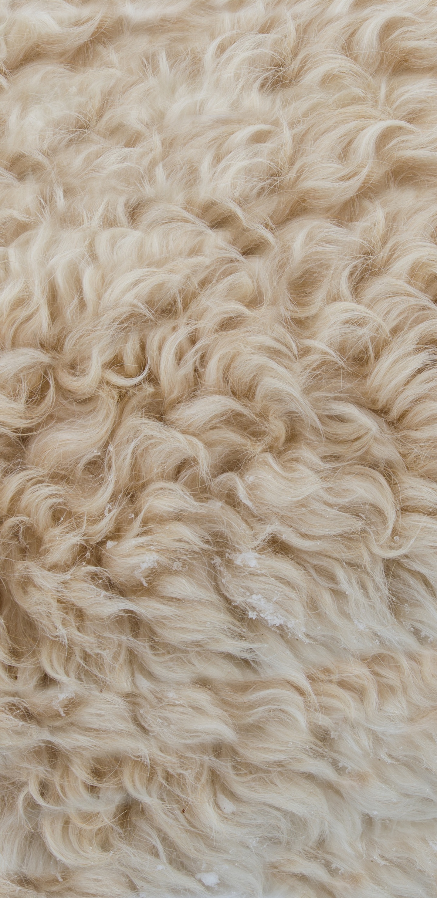 Textil de Piel Blanca en Fotografía de Cerca. Wallpaper in 1440x2960 Resolution