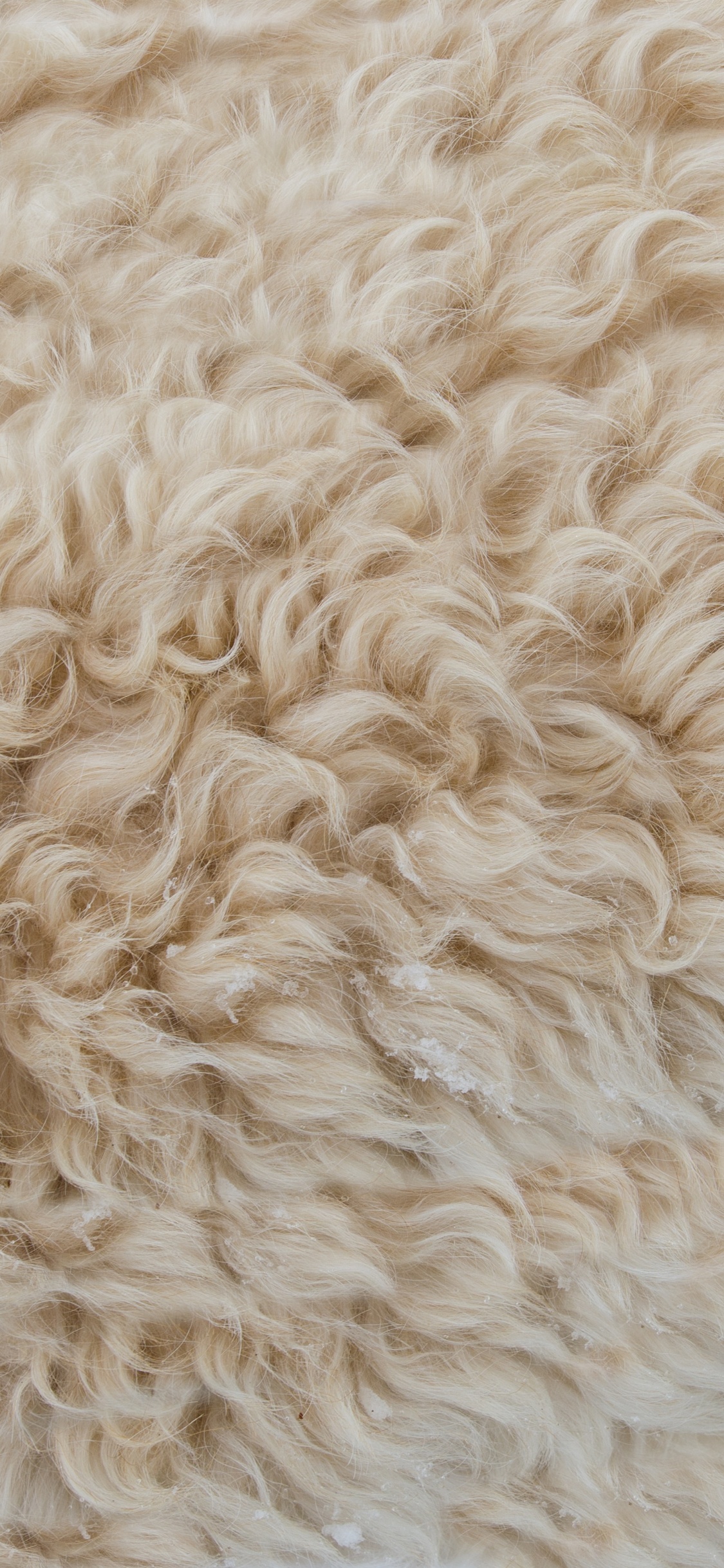 Weißes Fell Textil in Nahaufnahmen. Wallpaper in 1125x2436 Resolution