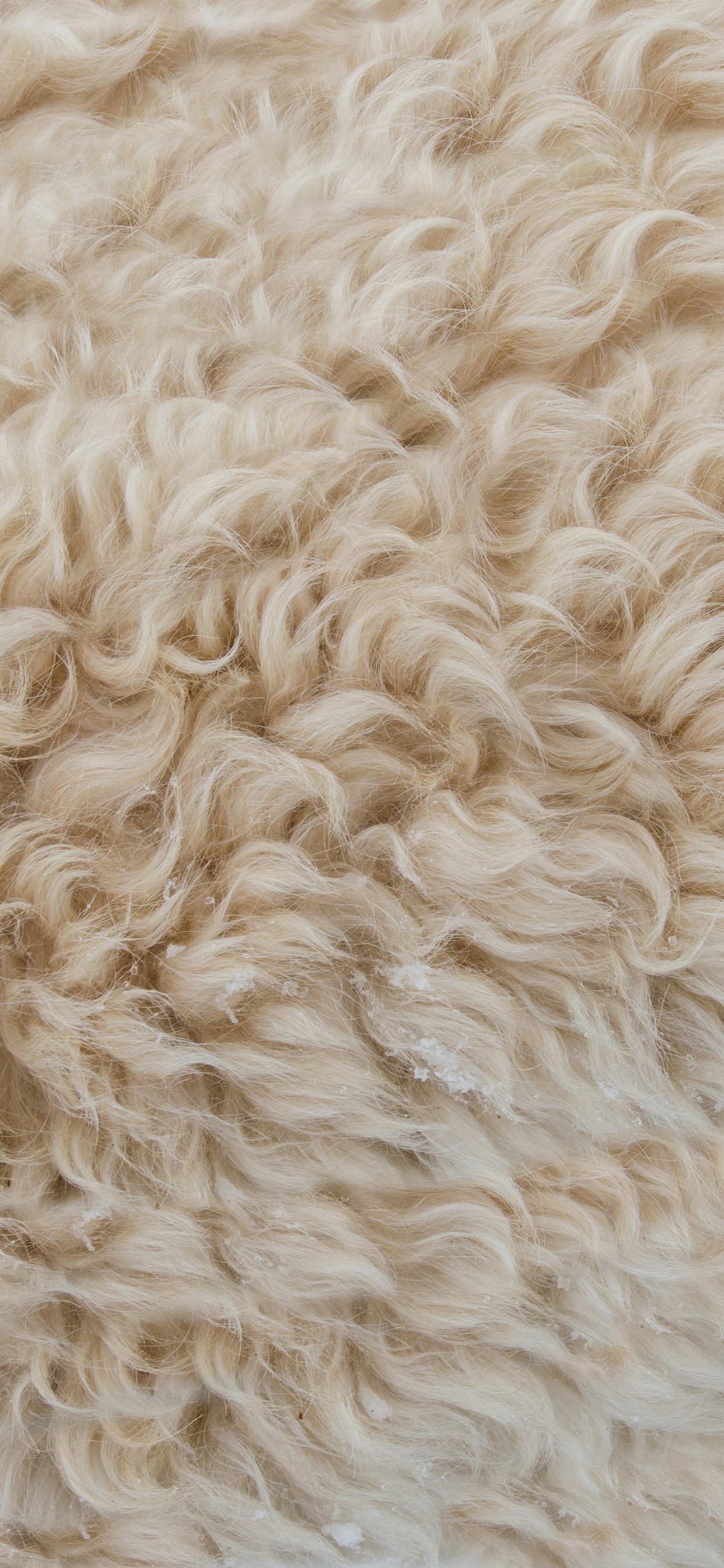 Textile de Fourrure Blanche en Photographie Rapprochée. Wallpaper in 1242x2688 Resolution