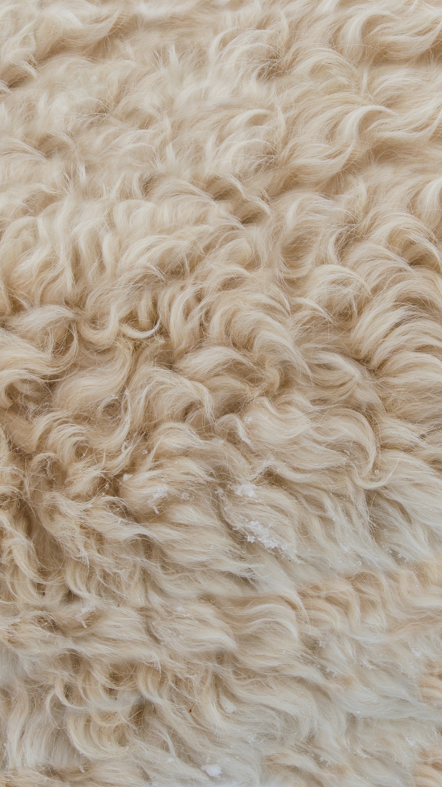 White Fur Textile in Close up Photography. Wallpaper in 1440x2560 Resolution