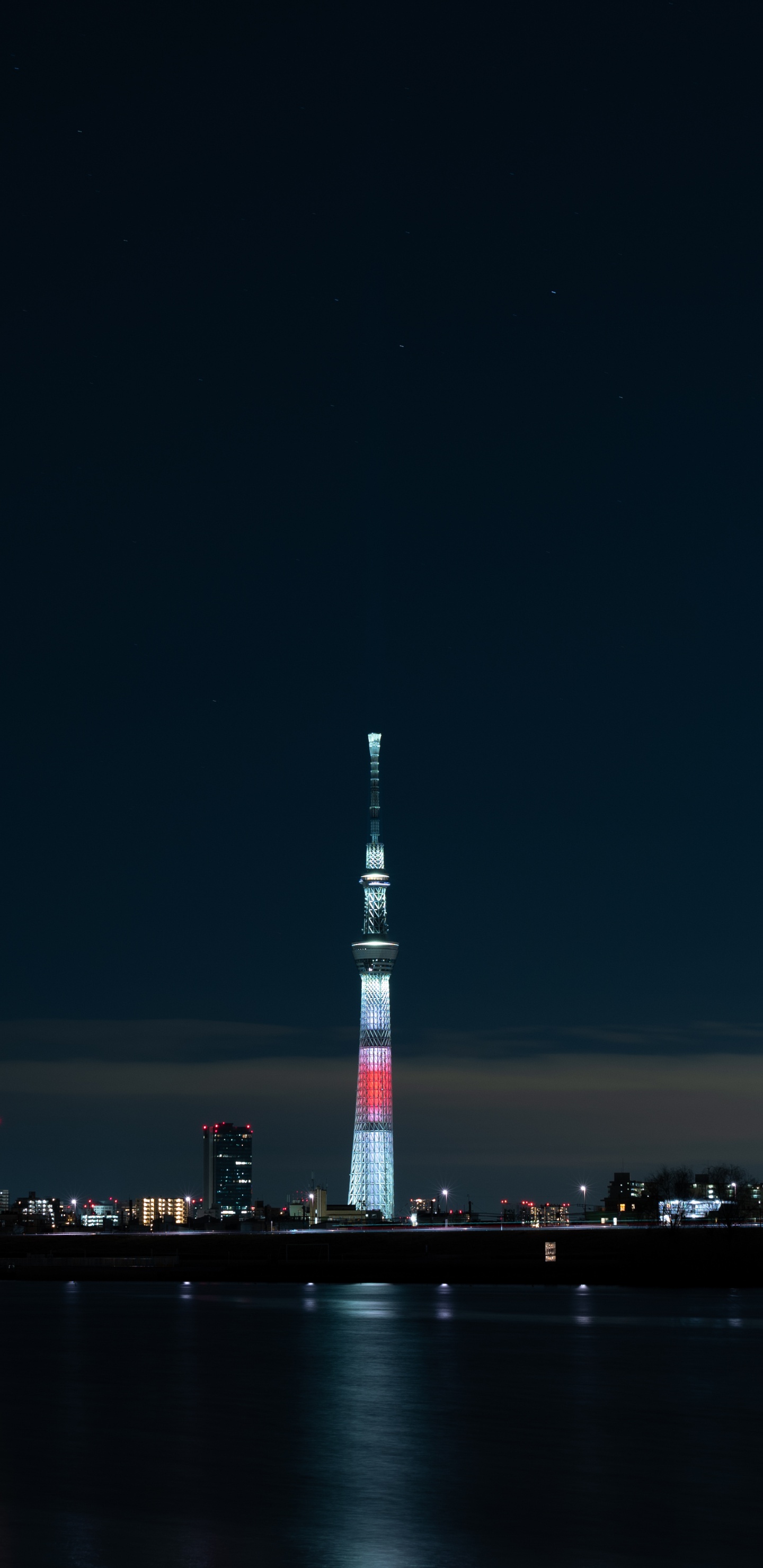 东京, 全景图, 里程碑, 城市, 人类住区 壁纸 1440x2960 允许