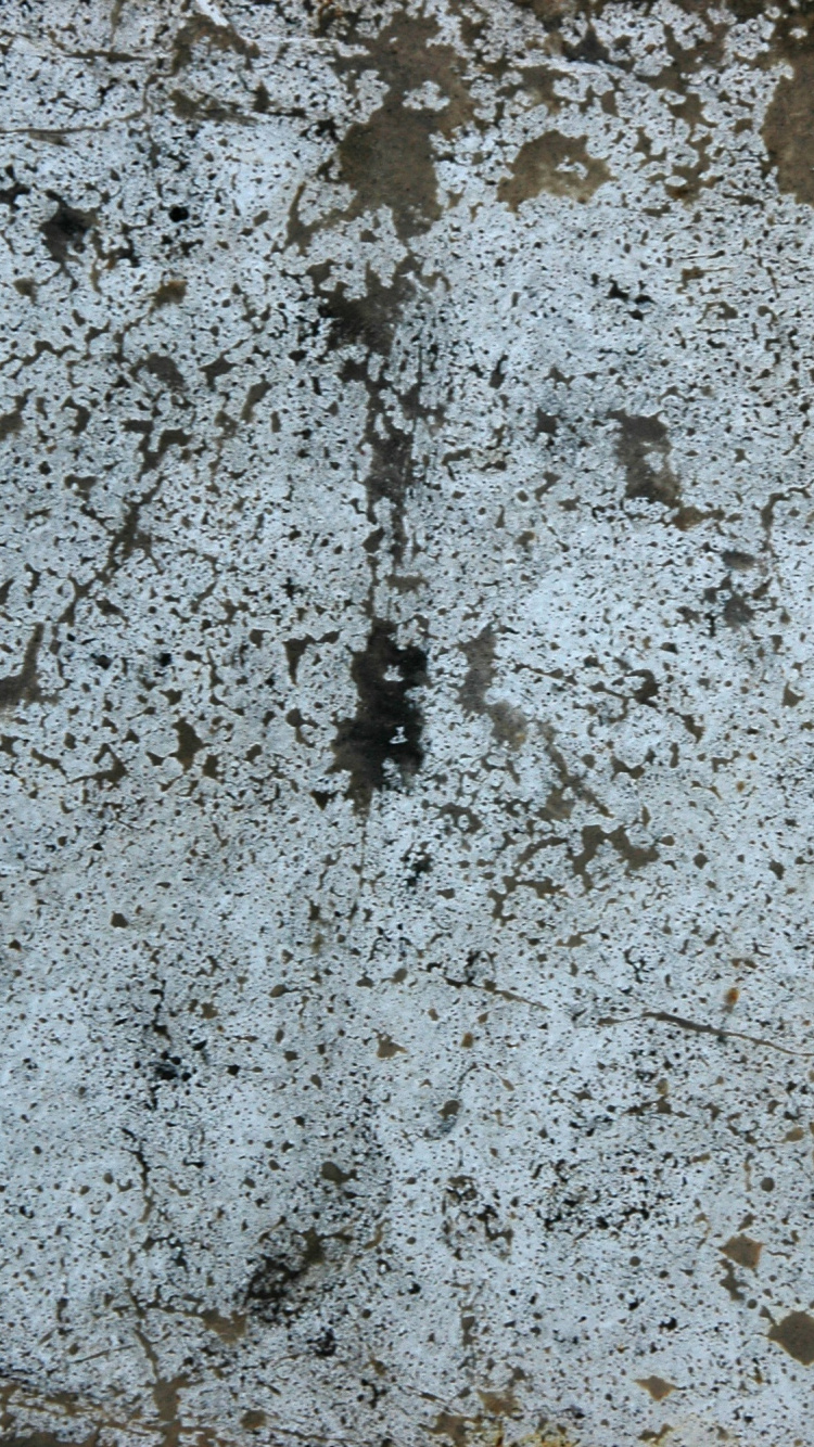 White and Black Concrete Floor. Wallpaper in 750x1334 Resolution