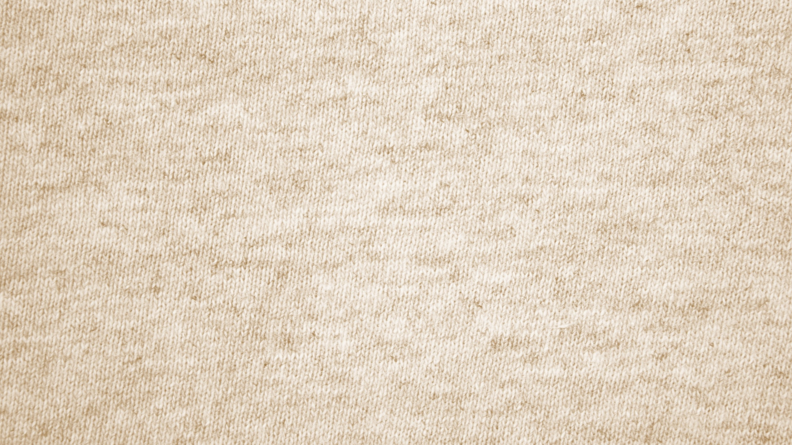 Textil Blanco Con Pelo Negro. Wallpaper in 2560x1440 Resolution