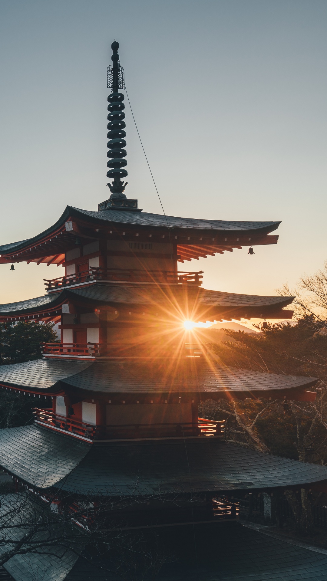 Temple de la Pagode Noire et Brune Près D'un Plan D'eau Pendant la Nuit. Wallpaper in 1080x1920 Resolution