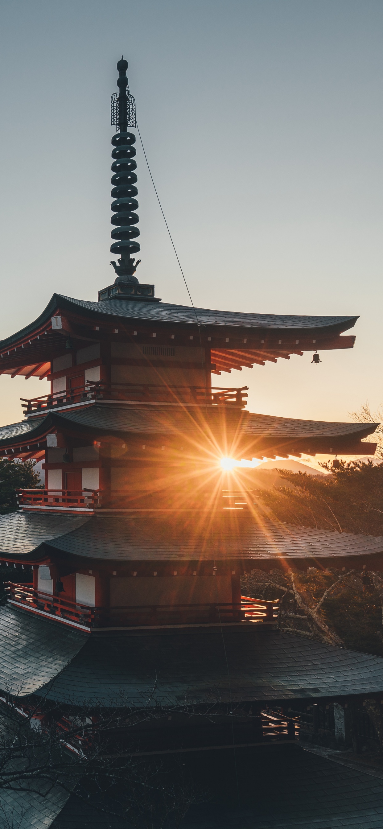 Templo Pagoda Negro y Marrón Cerca Del Cuerpo de Agua Durante la Noche. Wallpaper in 1242x2688 Resolution