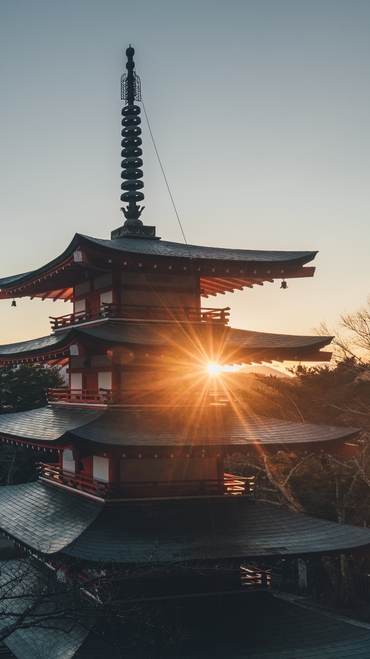 Black and Brown Pagoda Temple Near Body of Water During Night Time. Wallpaper in 750x1334 Resolution