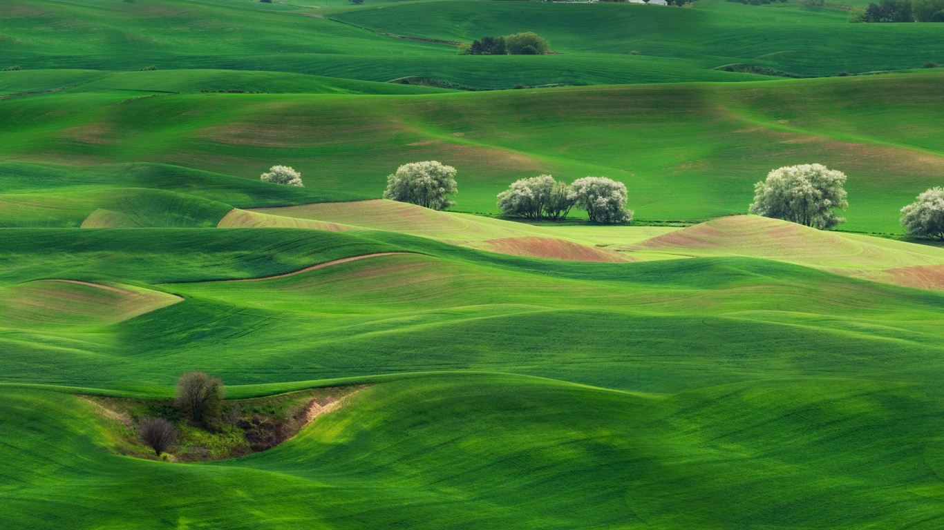 Huawei, Huawei Mate, Huawei Mate 10, Landscape, Theatrical Scenery. Wallpaper in 1366x768 Resolution