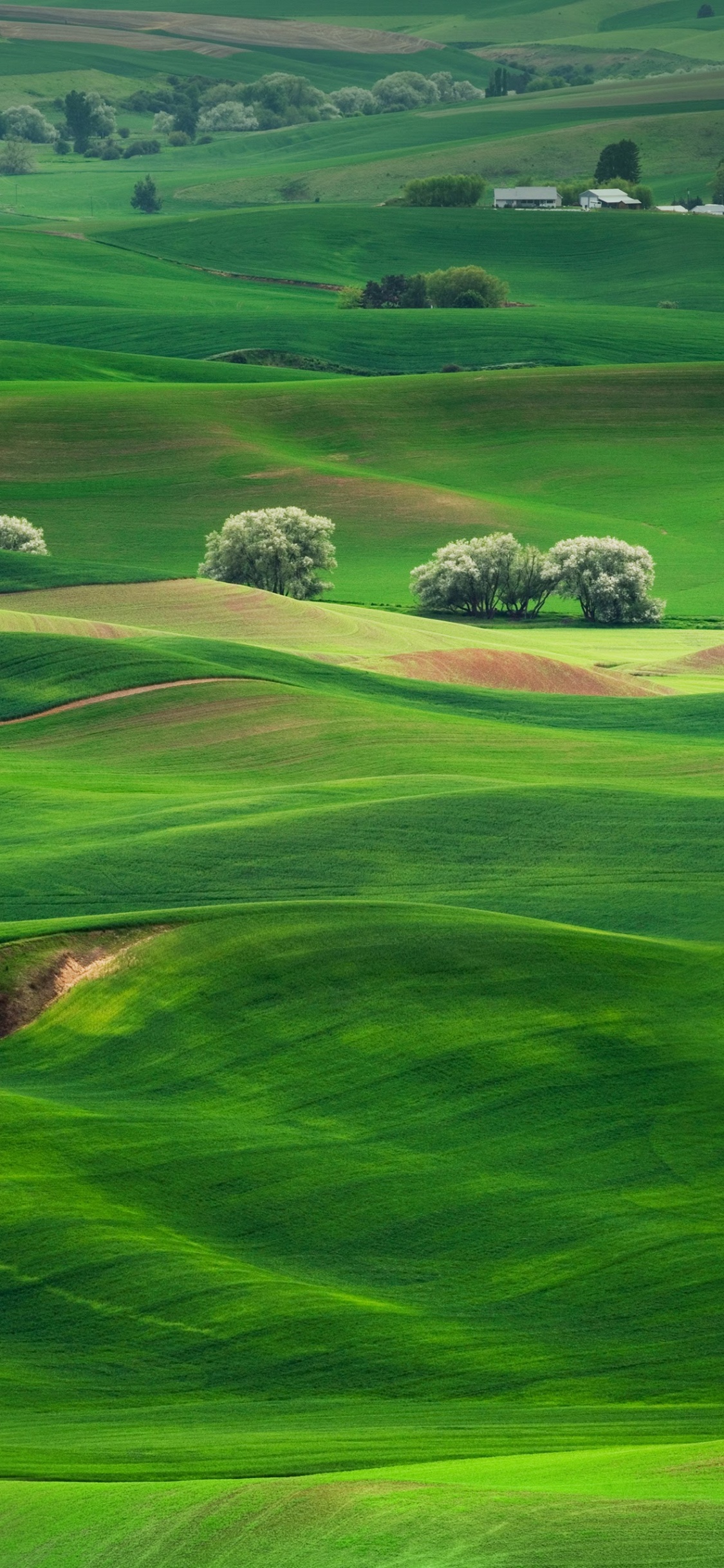 Huawei, Huawei Mate, Huawei Mate 10, Teatral Paisaje, el Deporte Lugar. Wallpaper in 1125x2436 Resolution