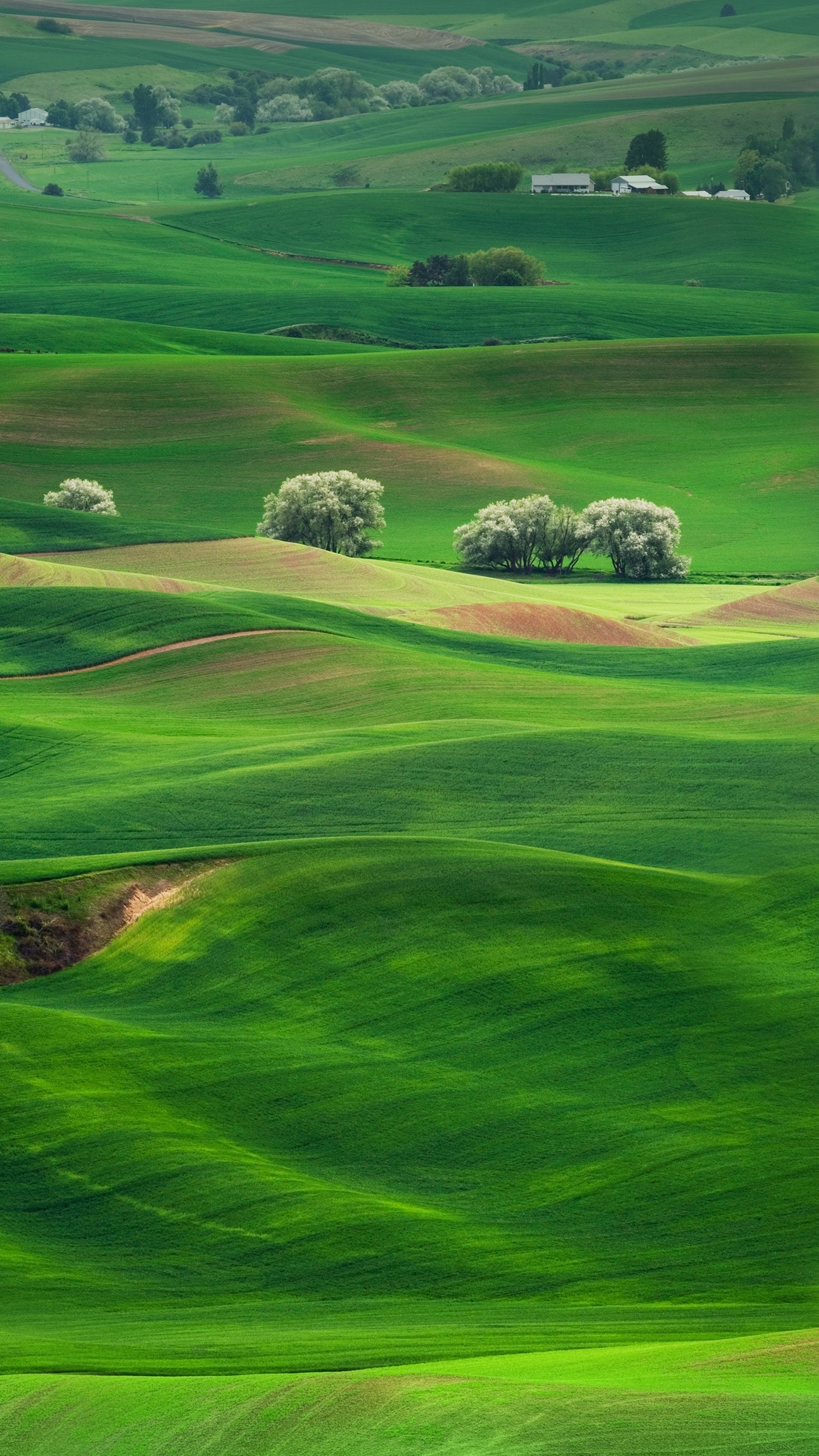 Huawei, Huawei Mate, Huawei Mate 10, Teatral Paisaje, el Deporte Lugar. Wallpaper in 1440x2560 Resolution