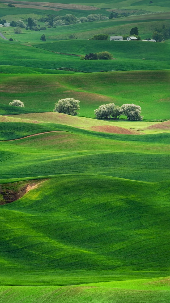 Huawei, Huawei Mate, Huawei Mate 10, Teatral Paisaje, el Deporte Lugar. Wallpaper in 720x1280 Resolution