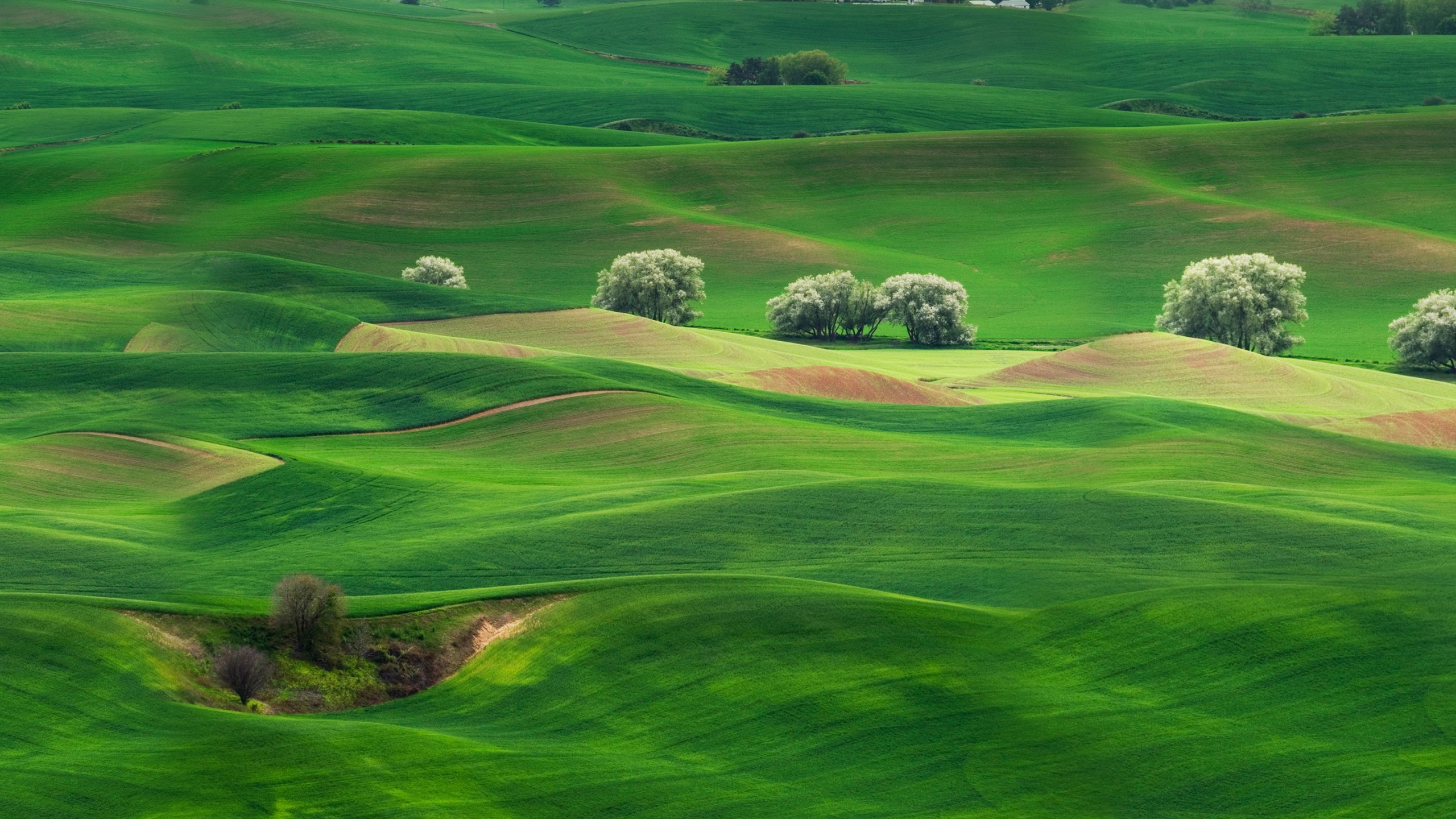 Huawei, Huawei Mate, Huawei Mate 10, Theatralische Landschaft, Sports Venue. Wallpaper in 2560x1440 Resolution