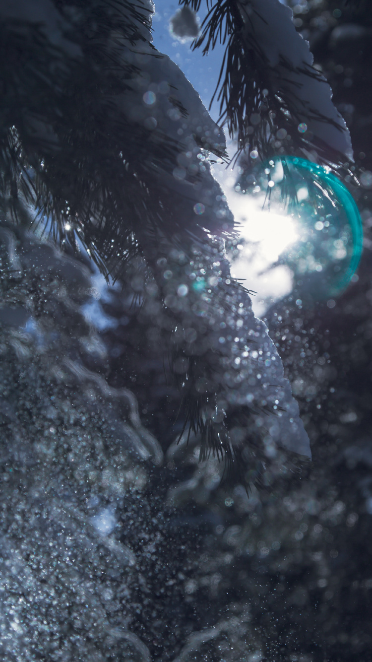 Bokeh, Agua, Reflexión, Espacio, Sucursal. Wallpaper in 750x1334 Resolution