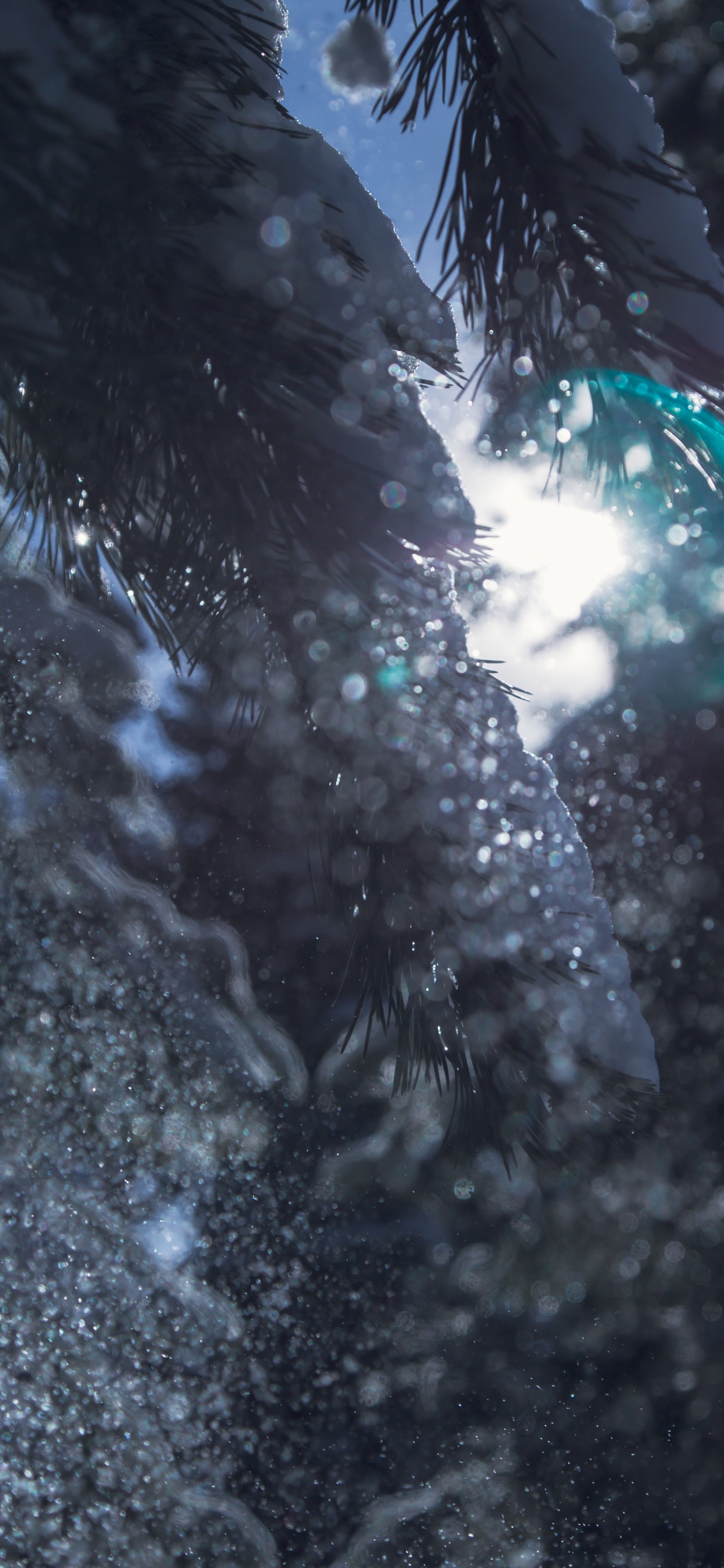 反射, 空间, 森林, 天空 壁纸 1242x2688 允许