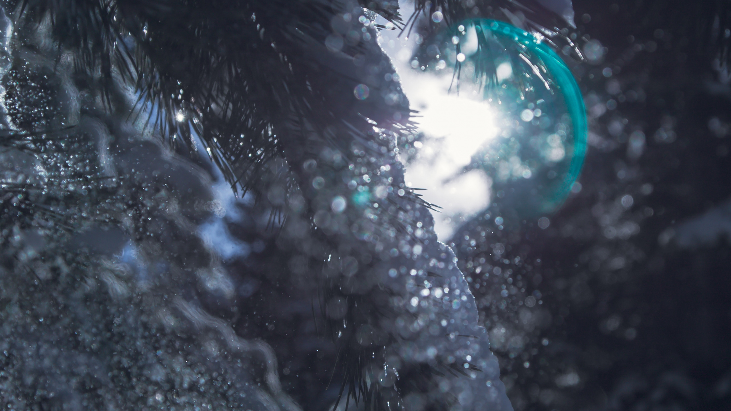 反射, 空间, 森林, 天空 壁纸 2560x1440 允许