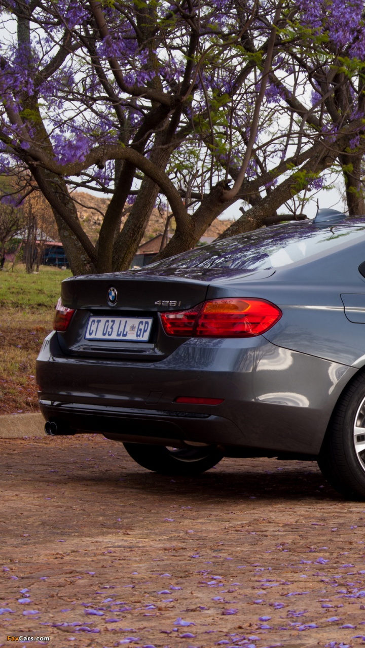Silver Sedan Parked Beside Purple Leaf Tree During Daytime. Wallpaper in 720x1280 Resolution