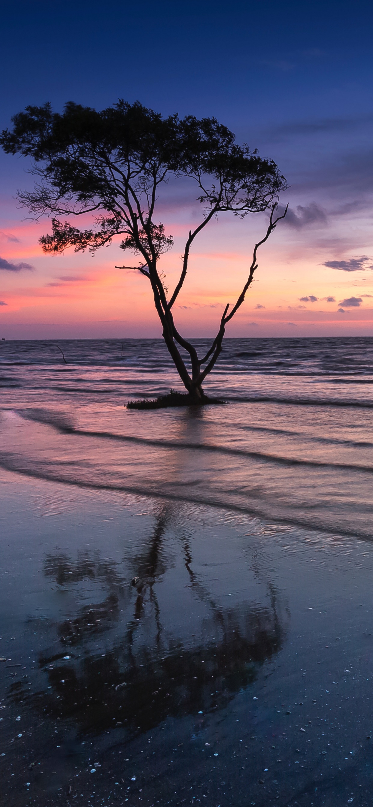 Nature, Horizon, Paysage Naturel, Mer, Lever. Wallpaper in 1242x2688 Resolution