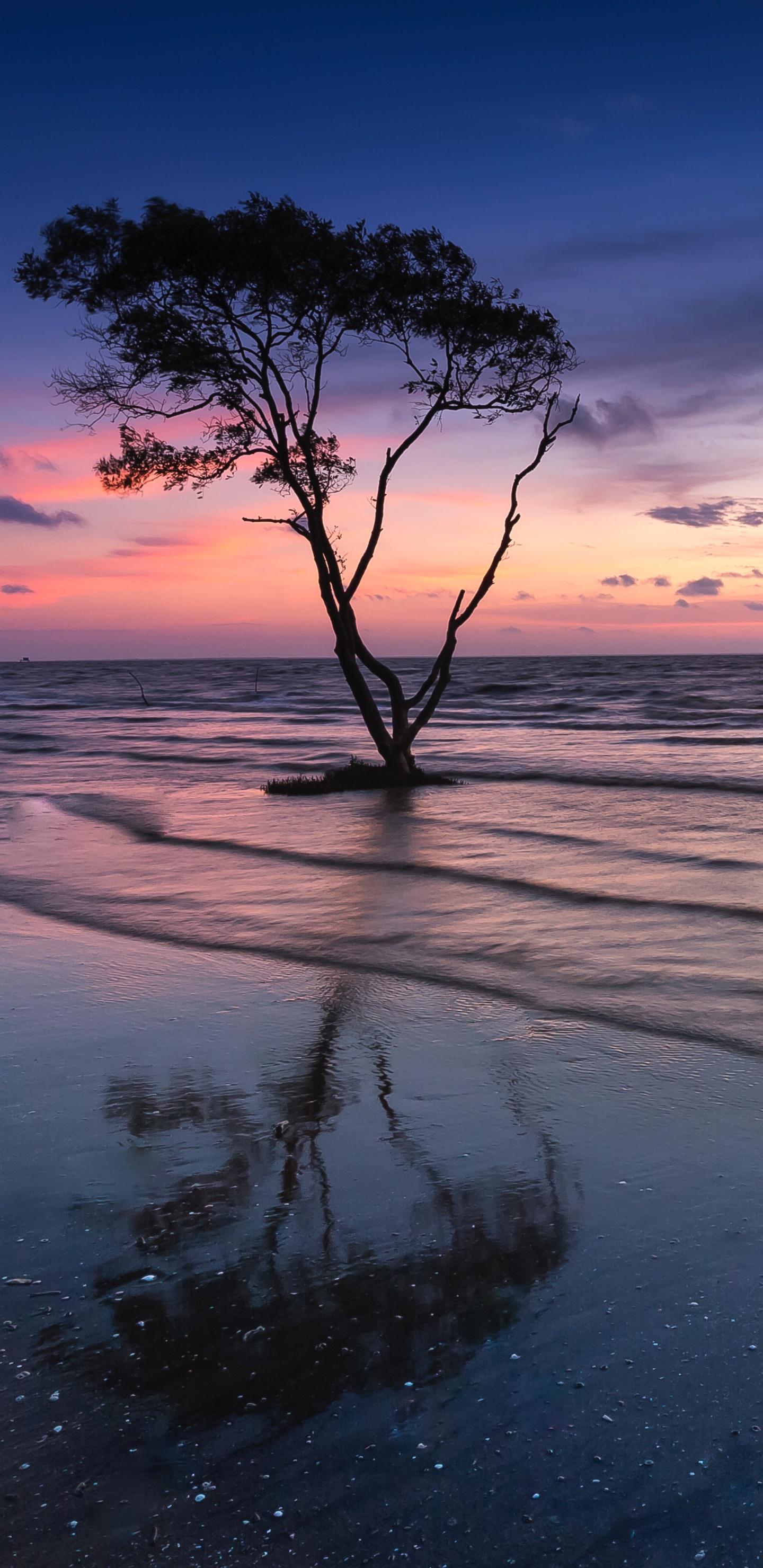 Nature, Horizon, Paysage Naturel, Mer, Lever. Wallpaper in 1440x2960 Resolution