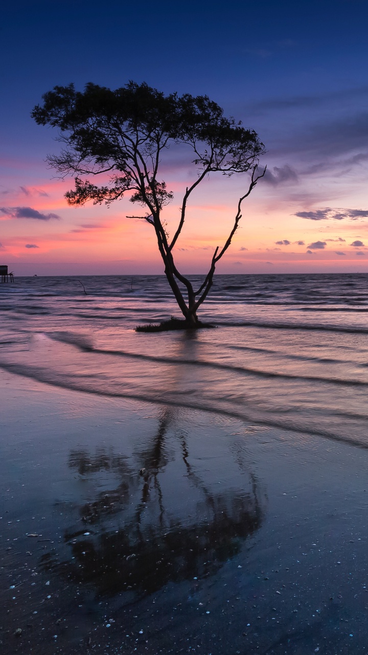 Natur, Horizont, Naturlandschaft, Ozean, Meer. Wallpaper in 720x1280 Resolution