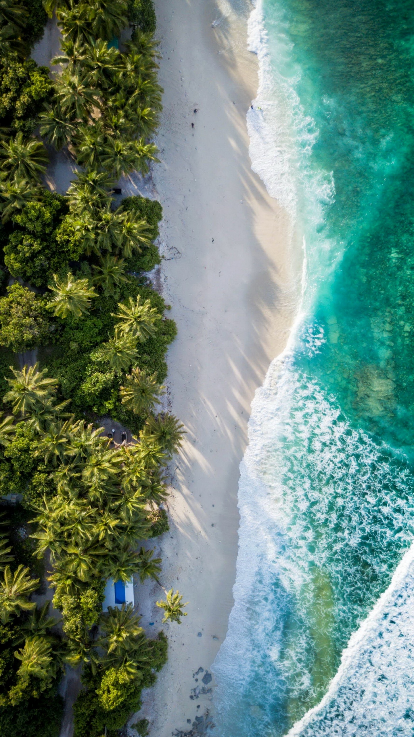 Fuvahmulah, Flight, Sea, Nature, Water. Wallpaper in 1440x2560 Resolution