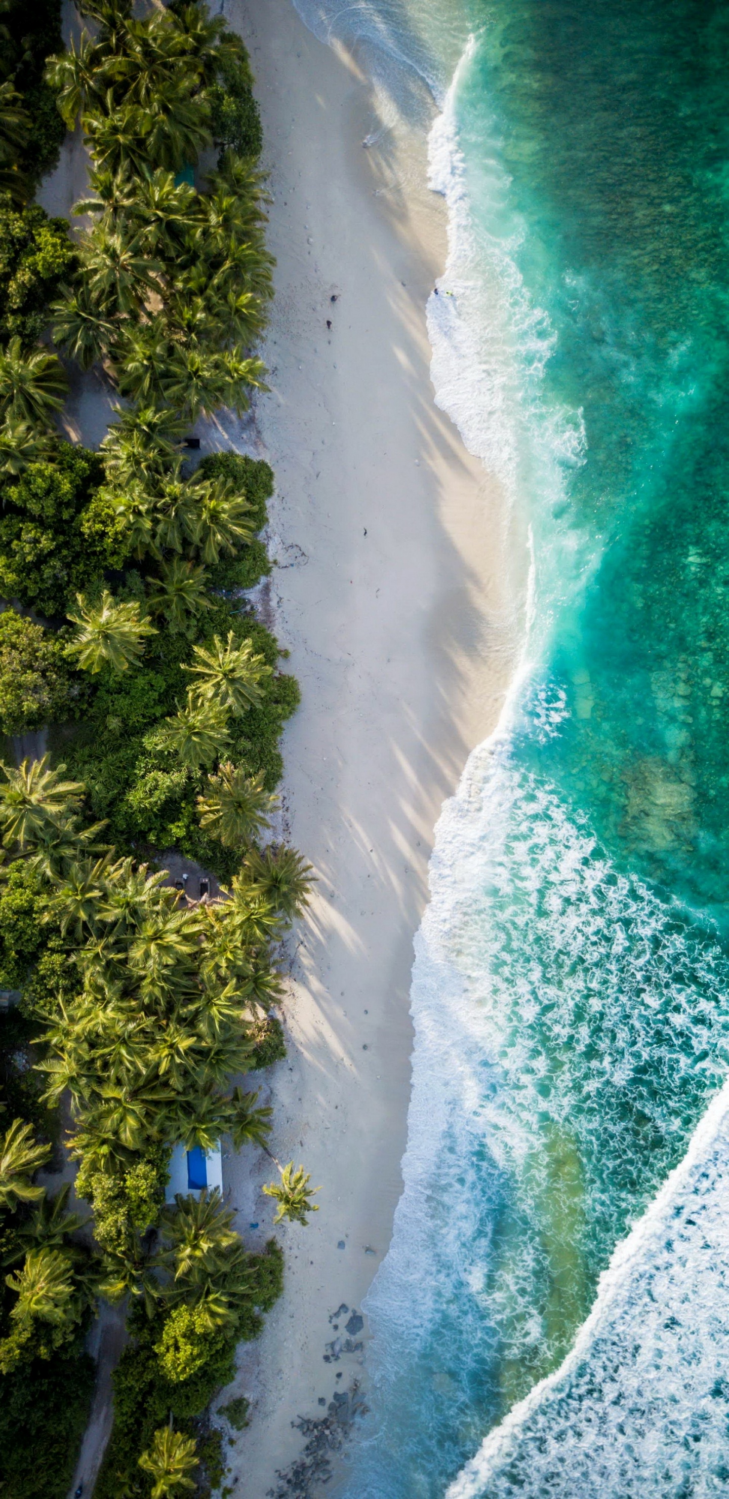 Fuvahmulah, Vuelo, Mar, Naturaleza, Agua. Wallpaper in 1440x2960 Resolution