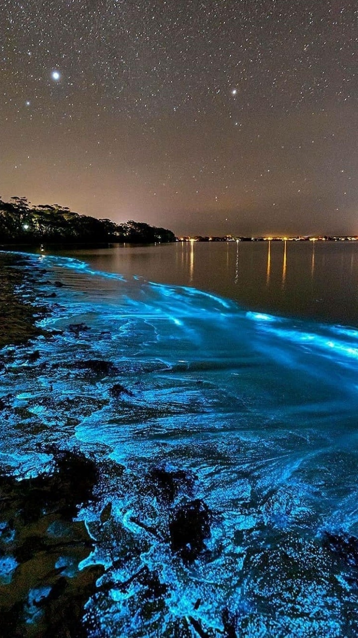 Bioluminescent Ocean, Sea Sparkle, Bioluminescence, Jervis Bay, Sea. Wallpaper in 720x1280 Resolution
