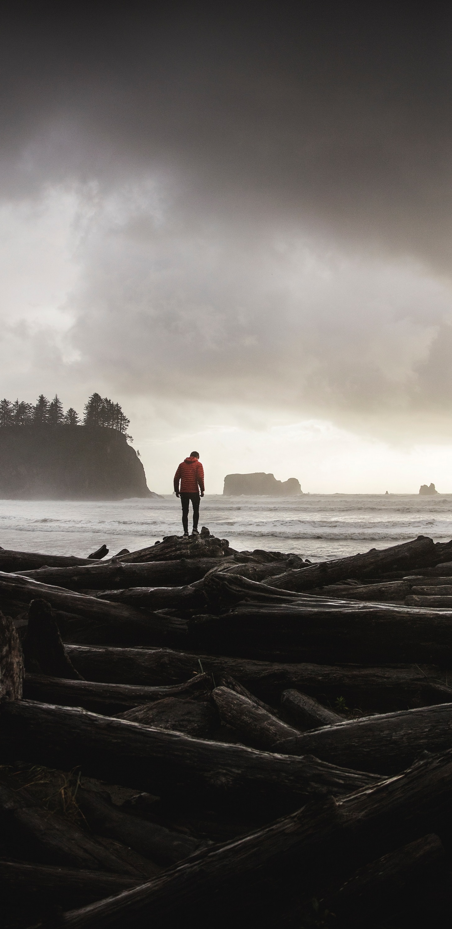 Man in Red Jacket Standing on Brown Rock Formation Near Body of Water During Daytime. Wallpaper in 1440x2960 Resolution