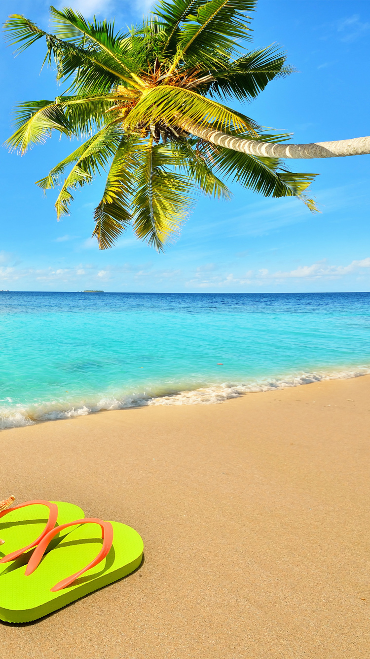 Tagsüber Grüne Und Gelbe Flip-Flops am Strand?. Wallpaper in 750x1334 Resolution